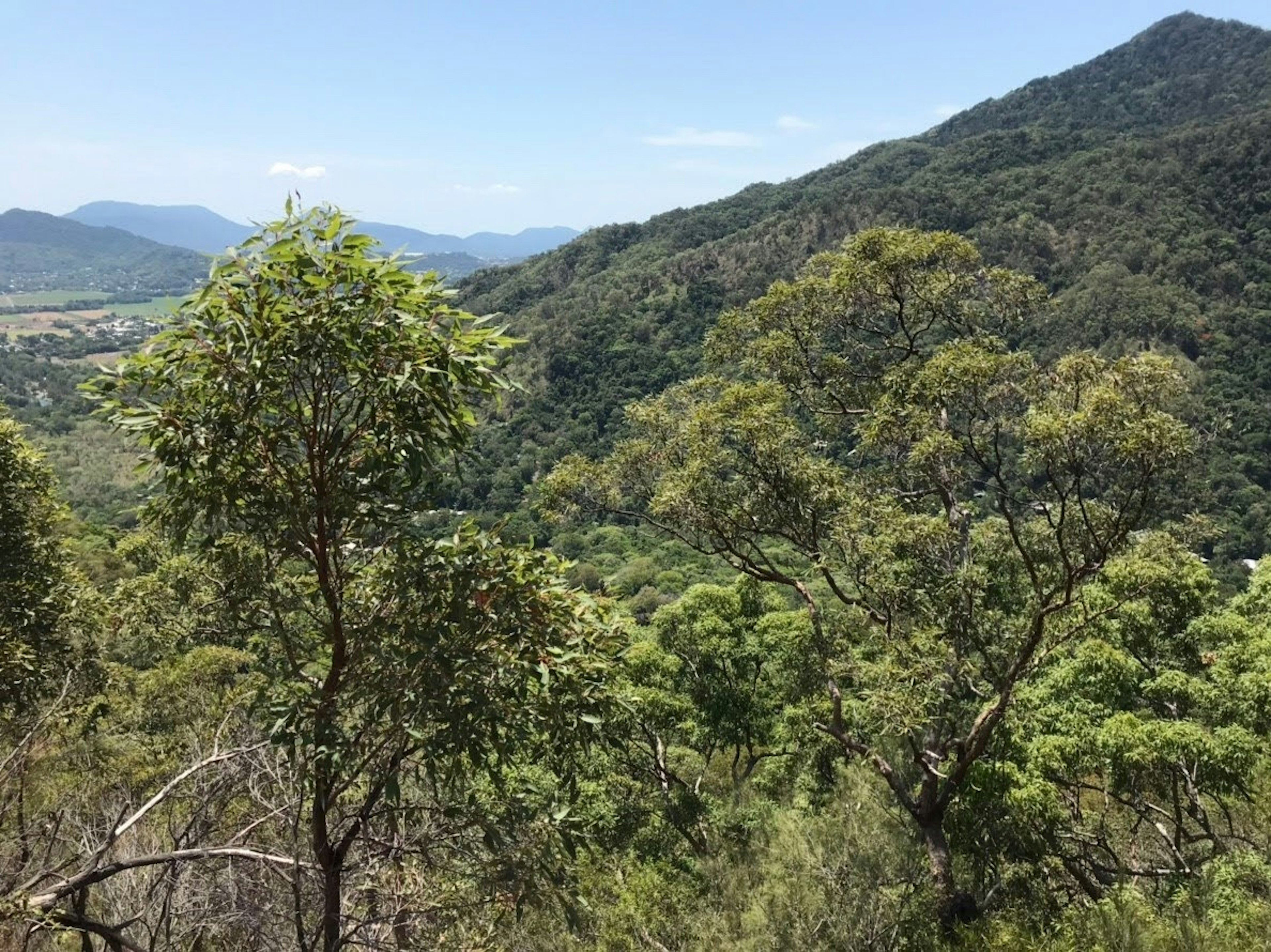 郁郁蔥蔥的山地景觀和遠處的山丘