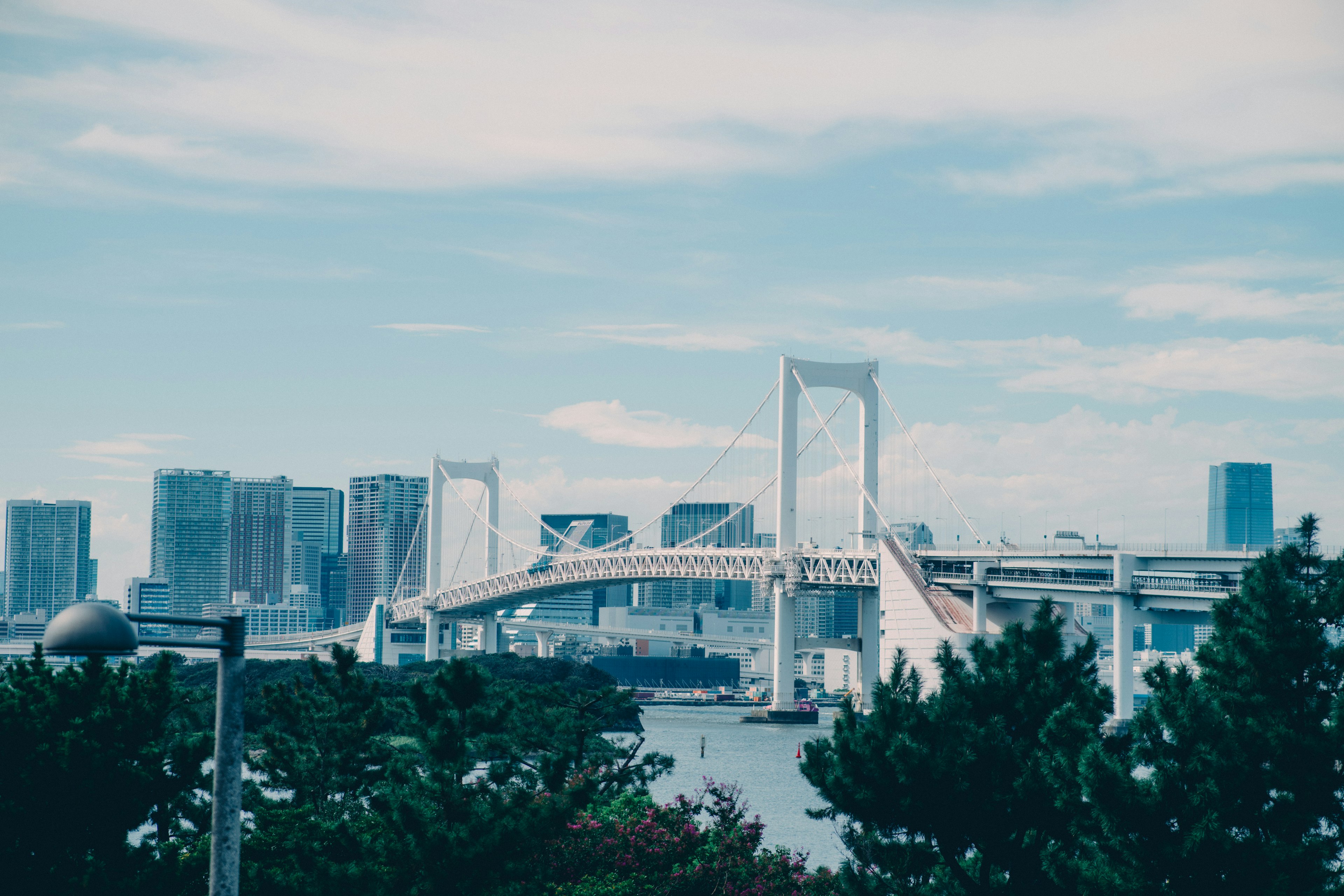 レインボーブリッジと東京のスカイラインを背景にした海の景色