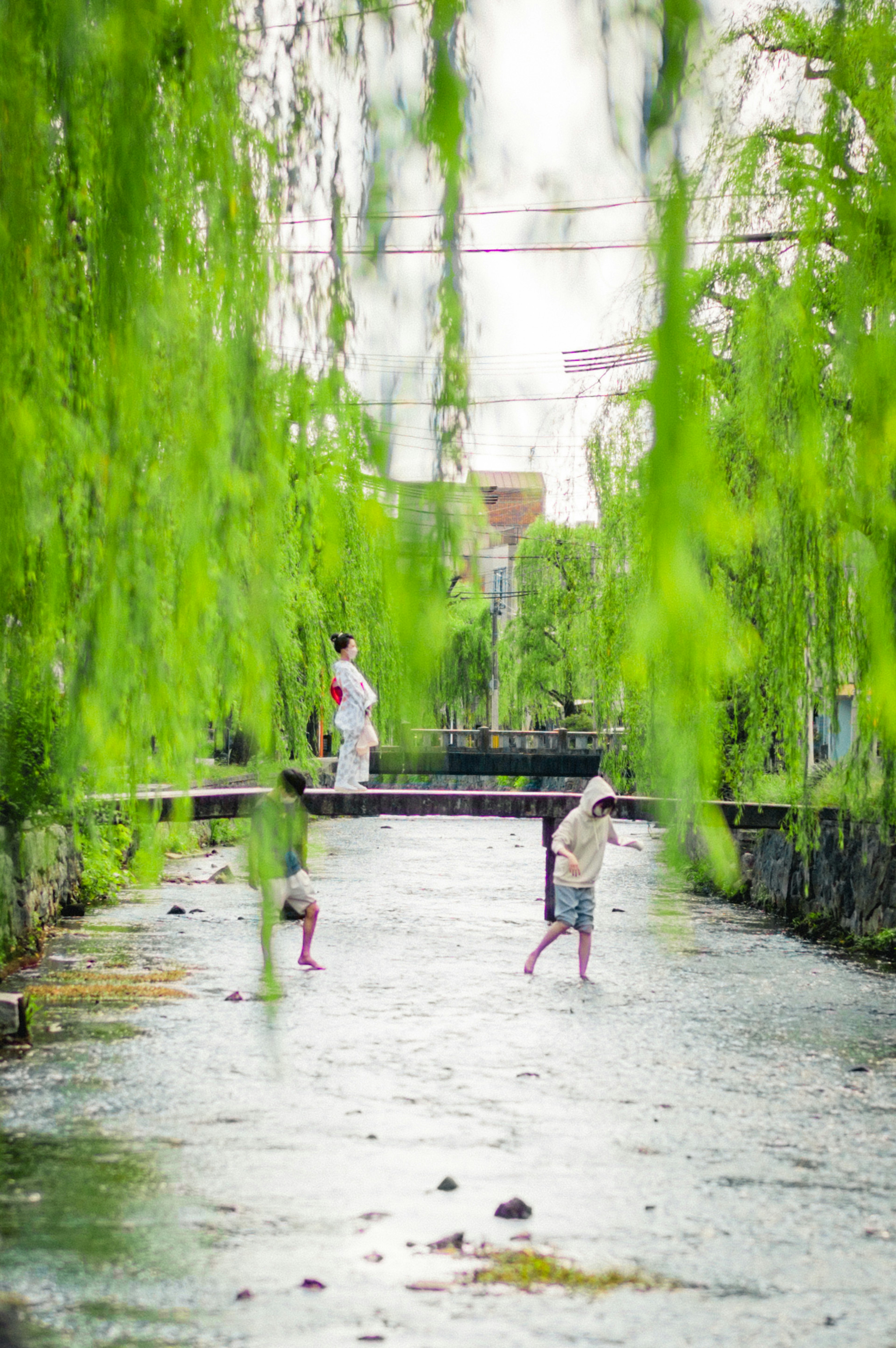 Trẻ em chơi trong dòng sông có cây liễu xanh rủ xuống