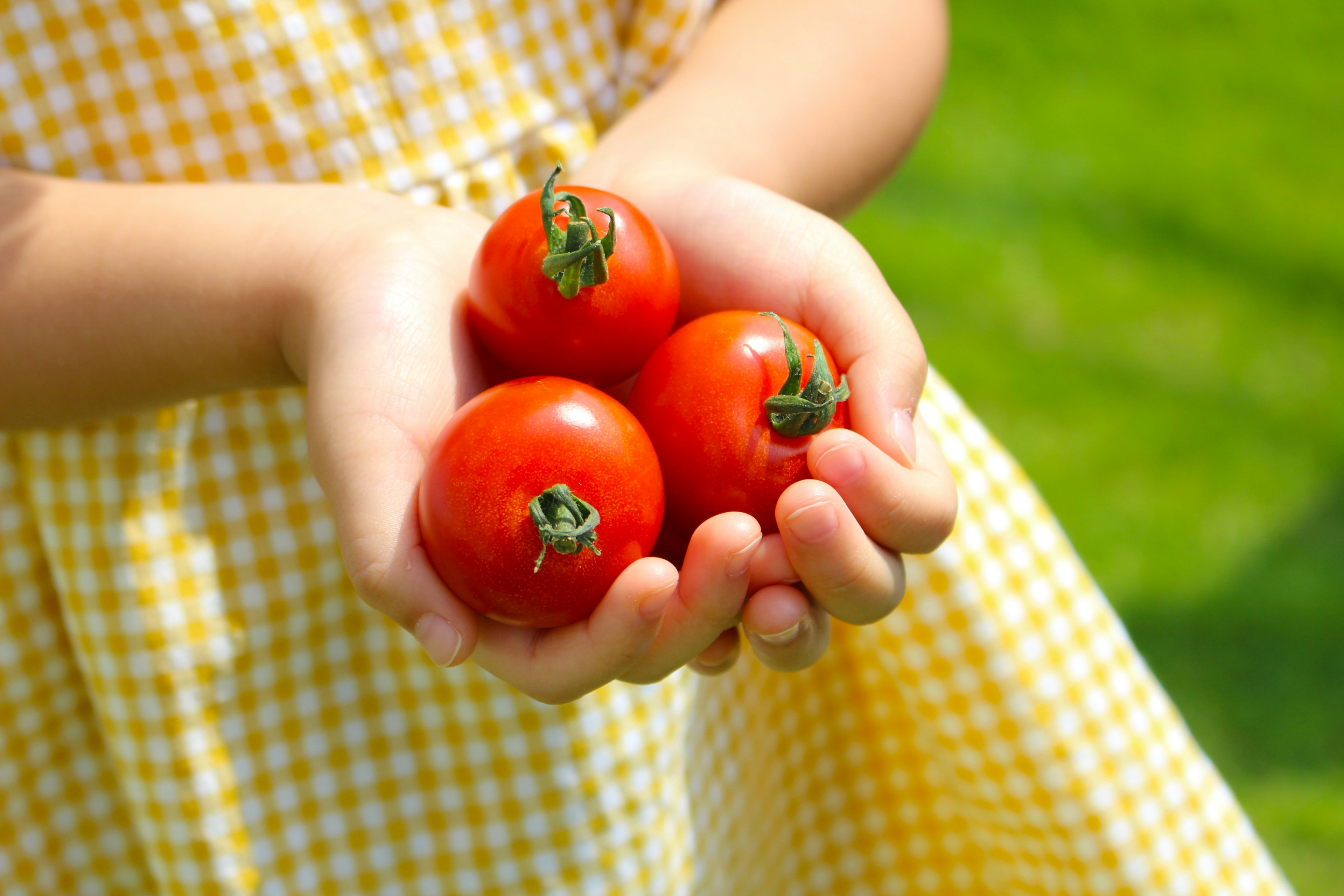 Niño sosteniendo tres tomates rojos sobre hierba verde con un vestido de cuadros amarillos