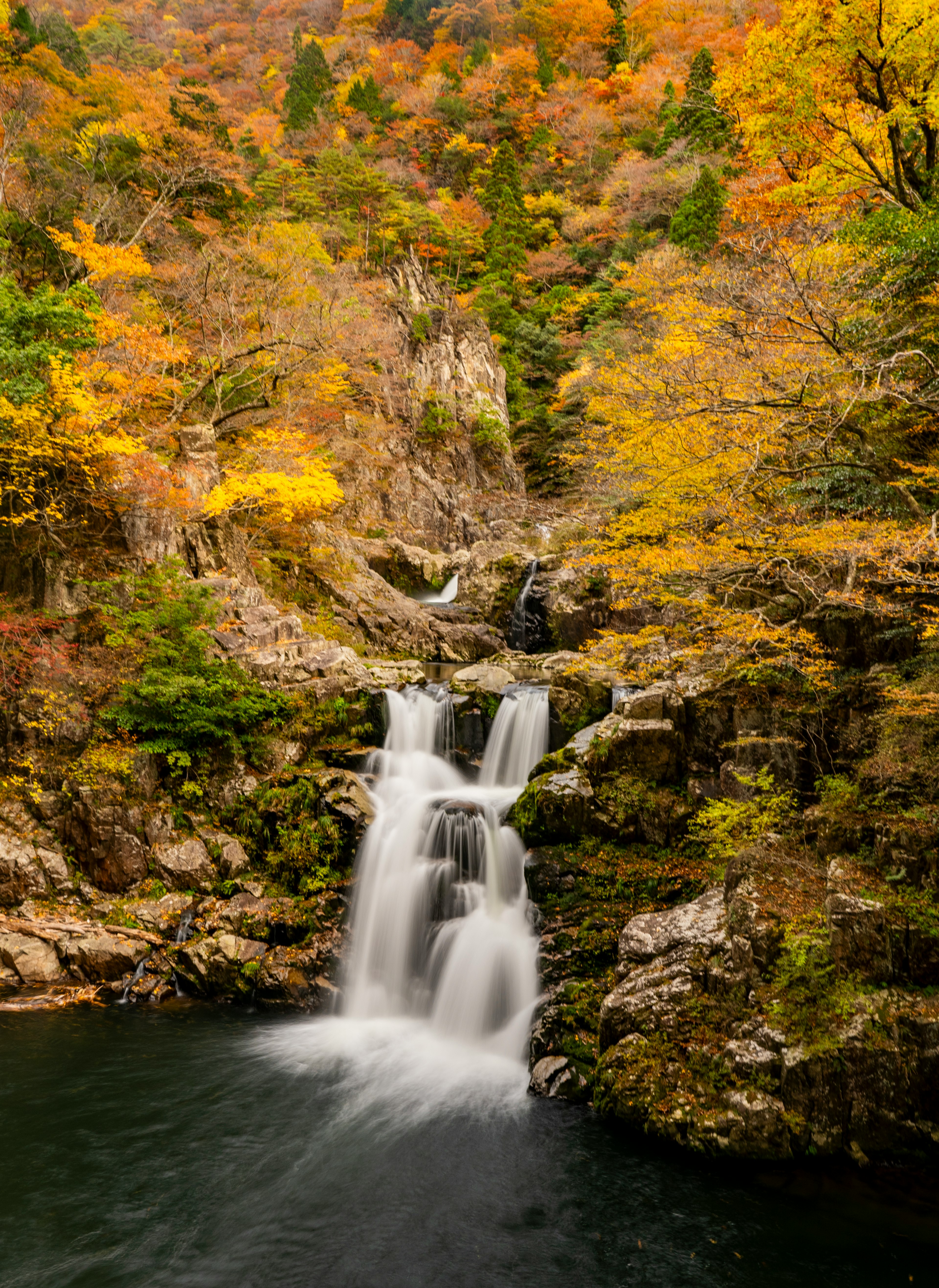 秋の色づいた木々と滝が流れる美しい風景