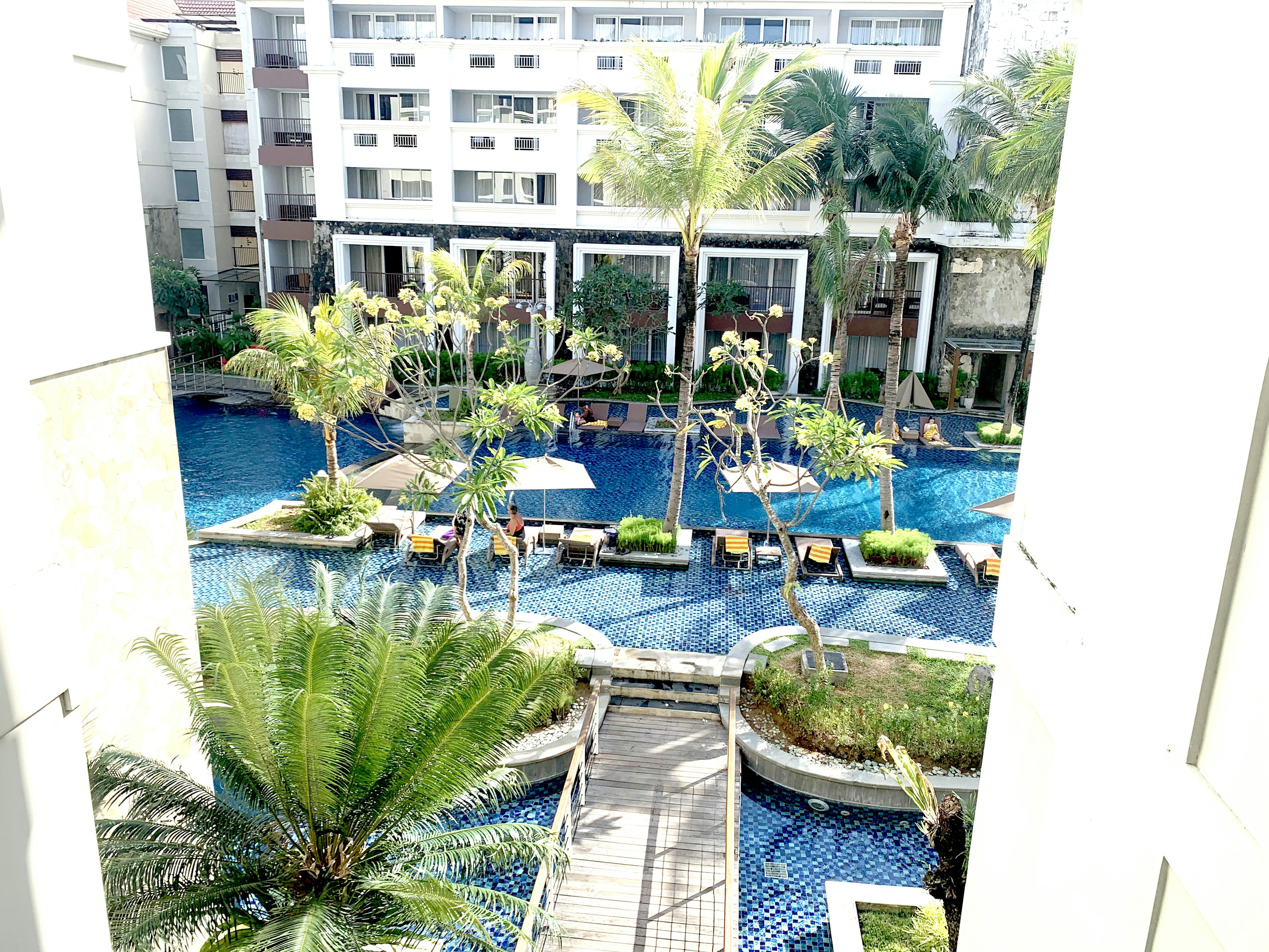 Lush pool area with resort view featuring palm trees and lounge chairs