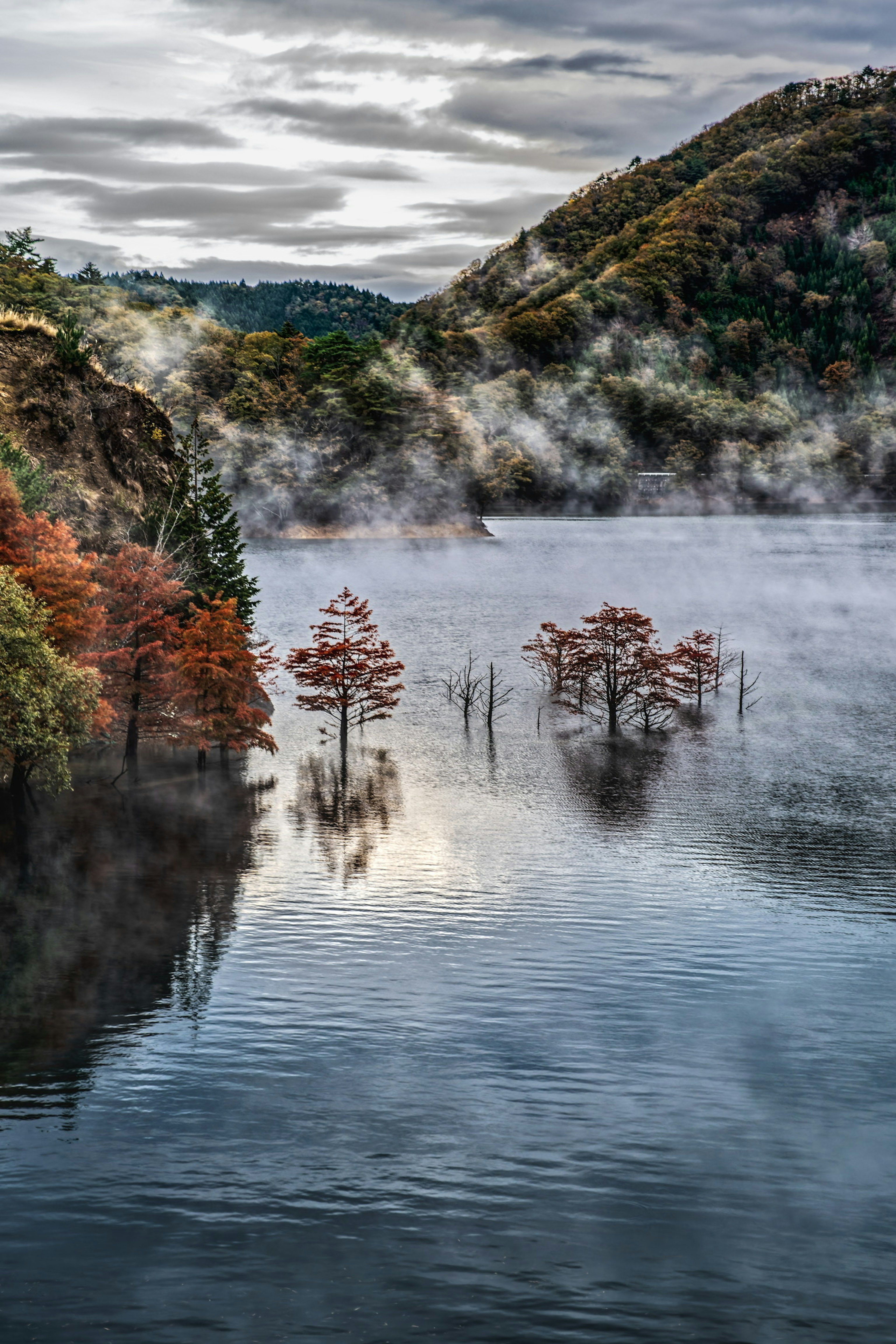 A tranquil landscape featuring a misty lake and colorful trees