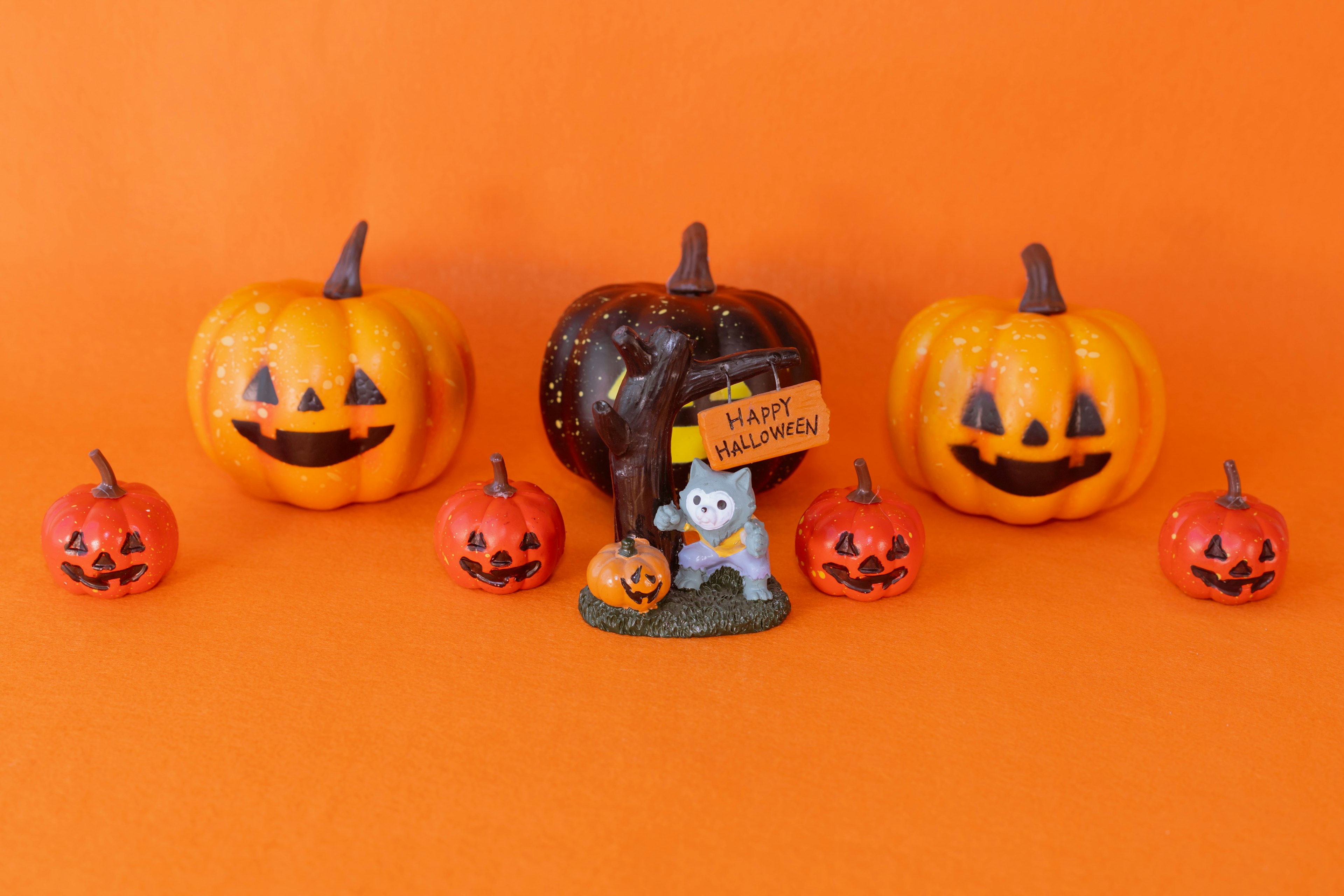 Halloween-Kürbisse mit lächelnden Gesichtern vor einem orangefarbenen Hintergrund mit einer Katzenfigur und einem Schild