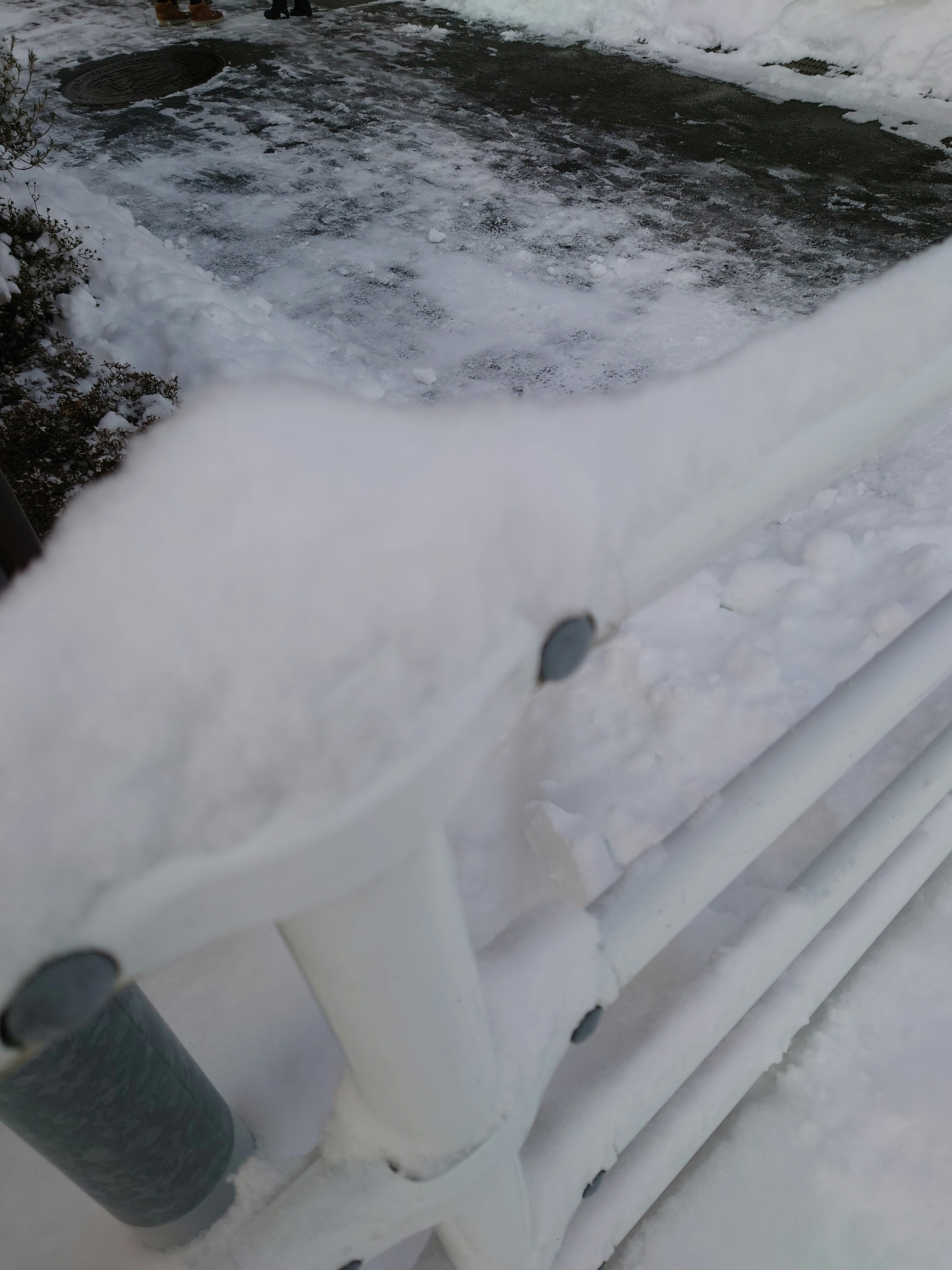 Snow-covered railing and section of a paved path