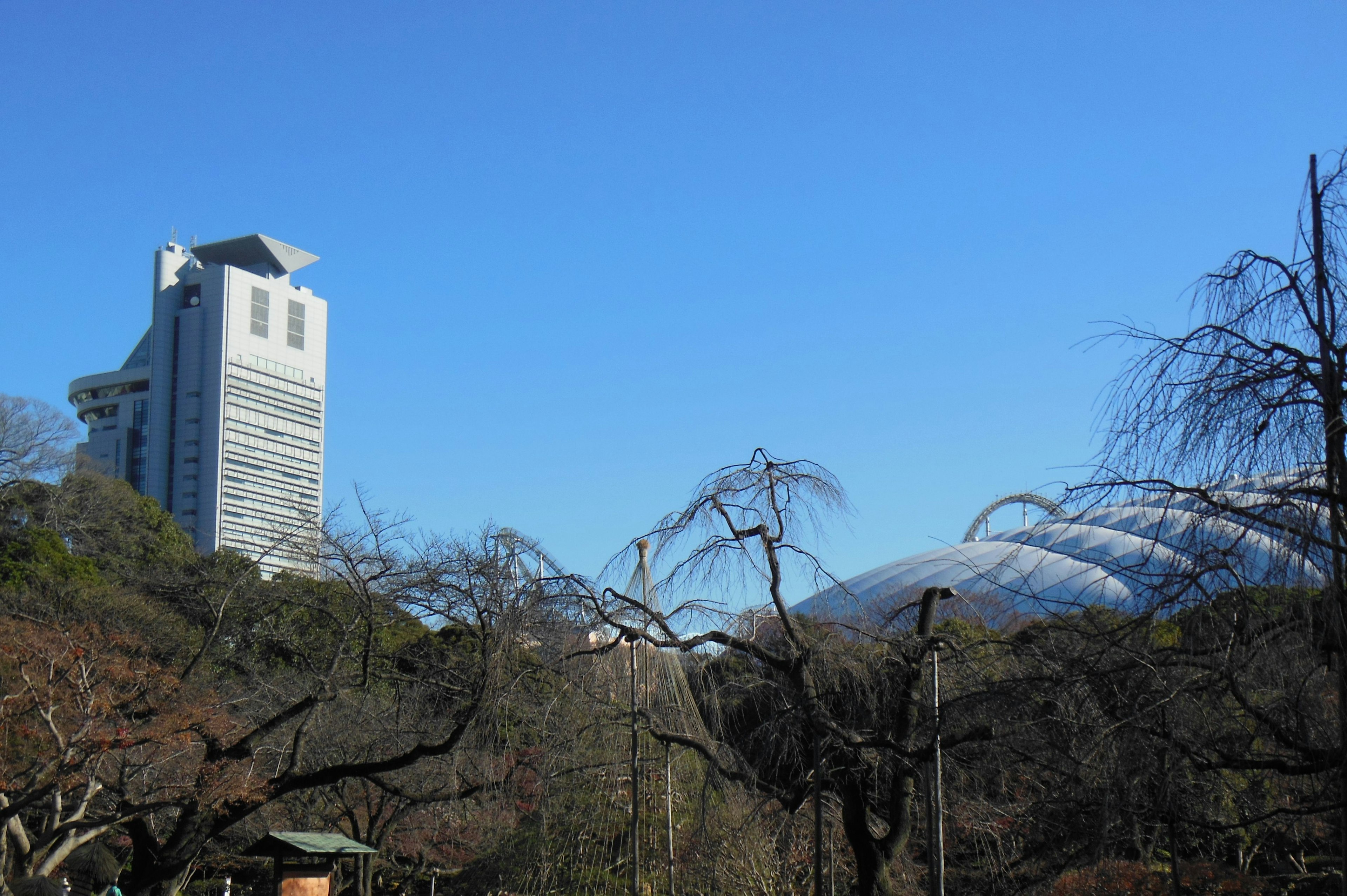 Urban landscape featuring a skyscraper and bare trees under a clear blue sky