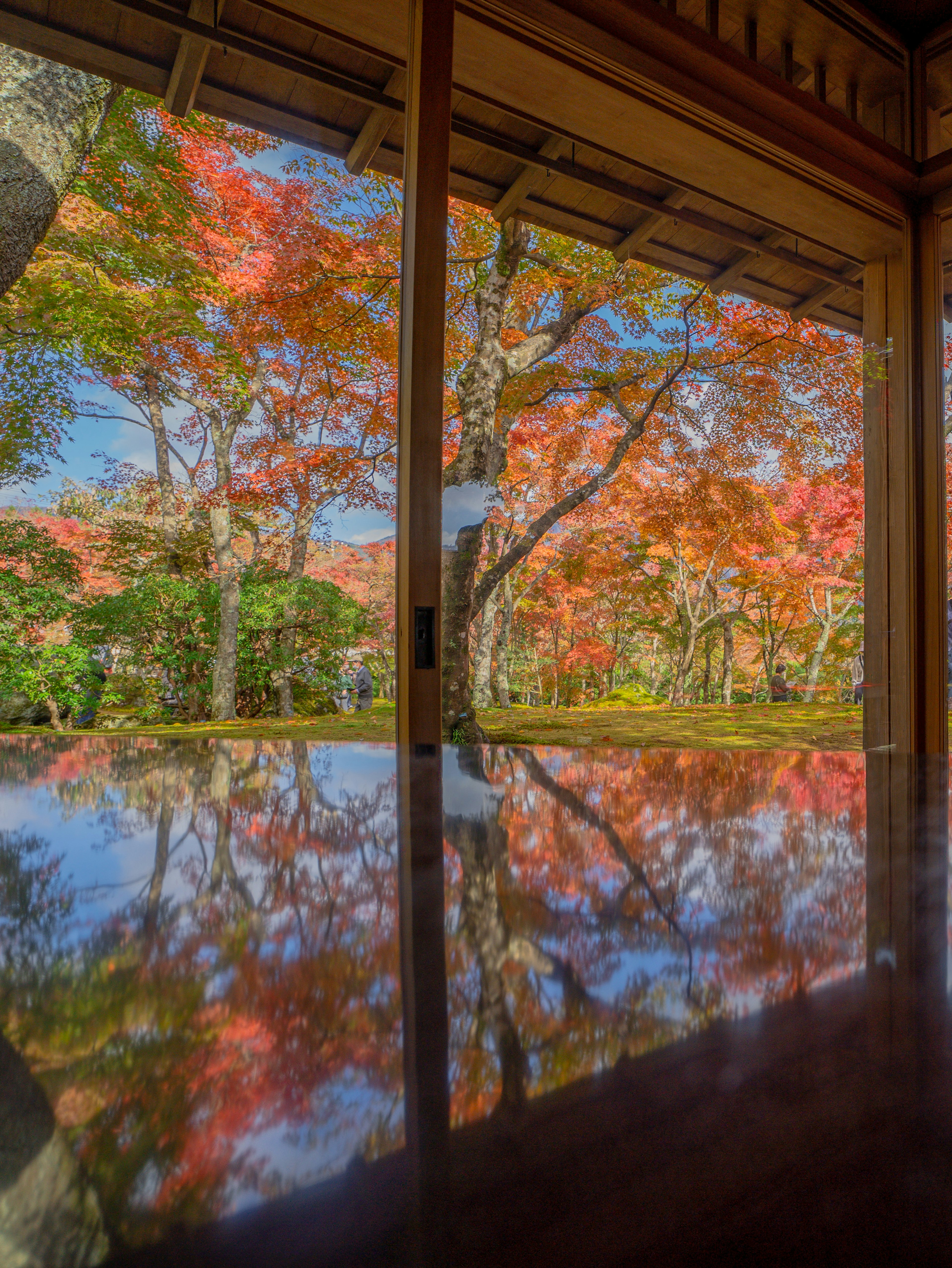 美しい紅葉が映る静かな部屋の窓からの眺め