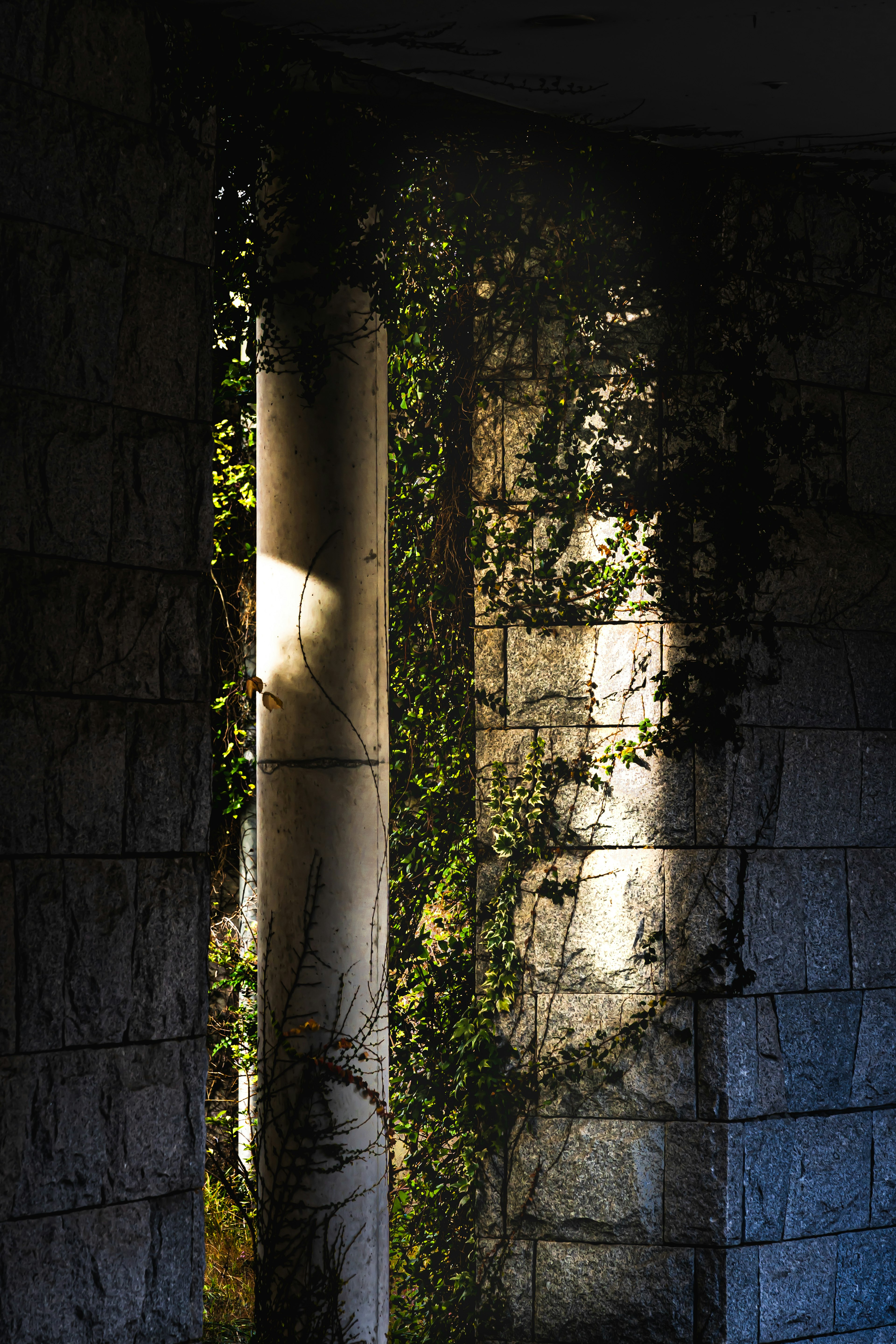 Muro in pietra illuminato con piante rampicanti e fasci di luce