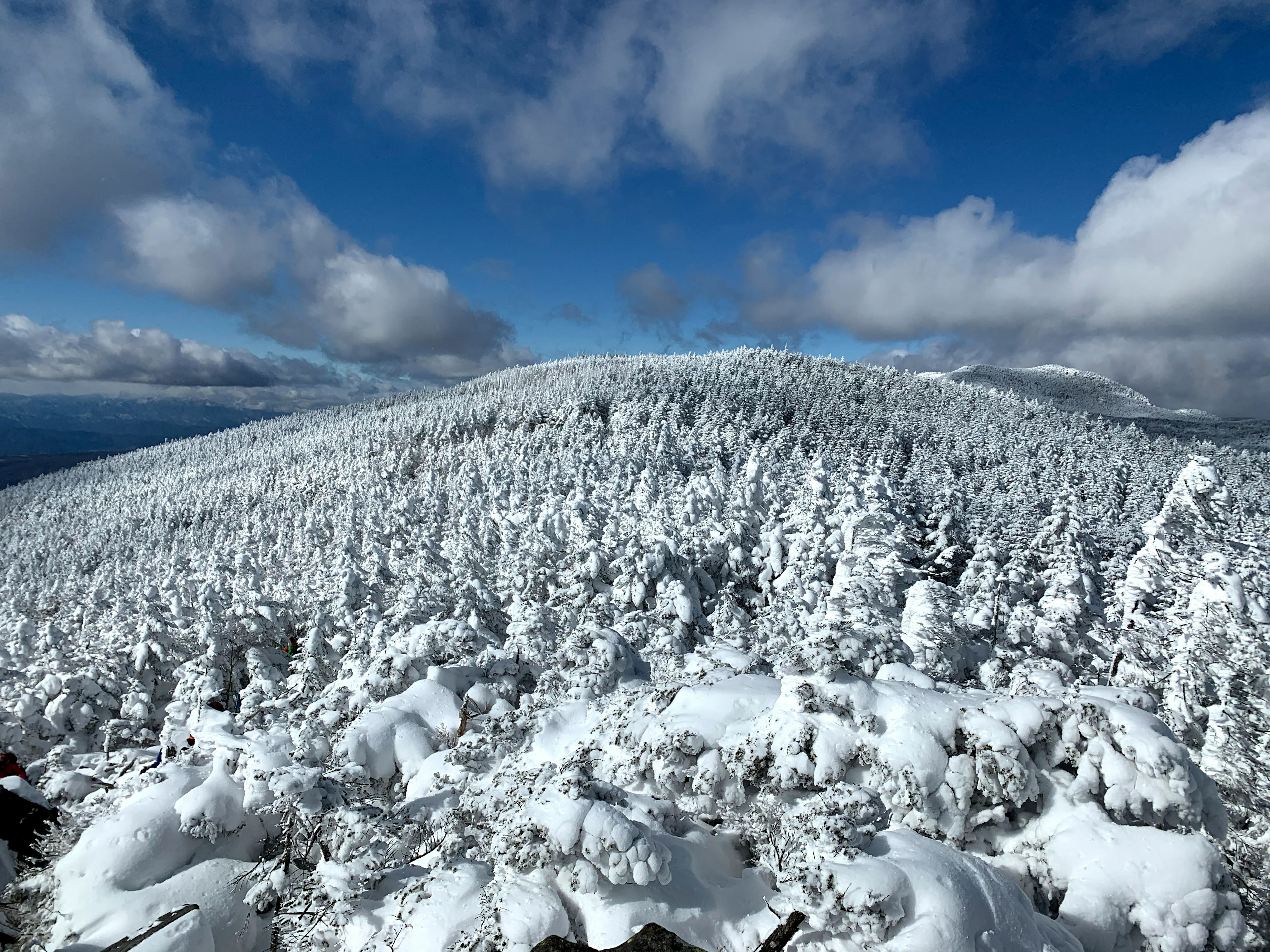 Schneebedeckte Waldlandschaft mit blauem Himmel und Wolken