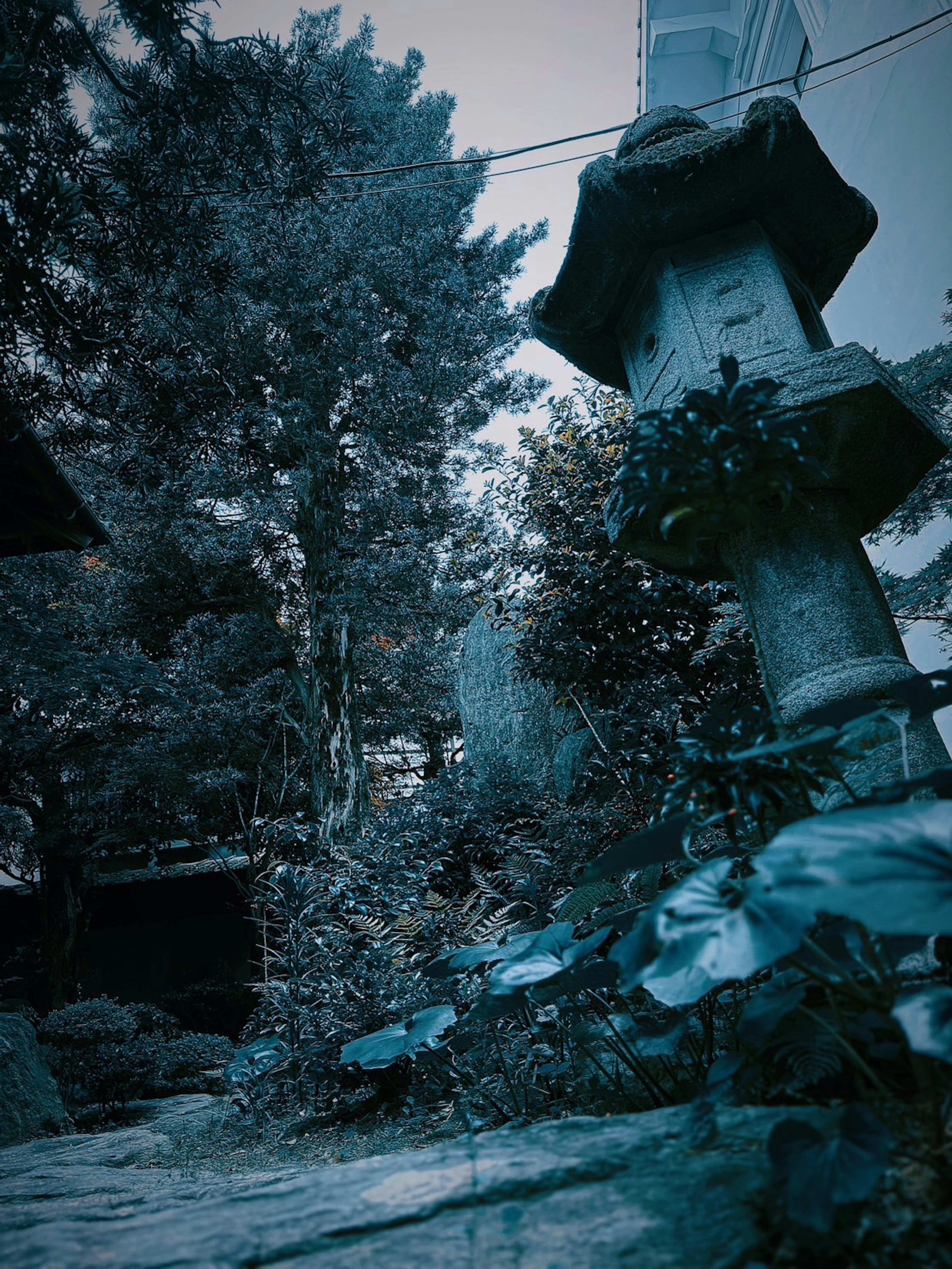 Stone lantern in a blue-toned garden with lush greenery