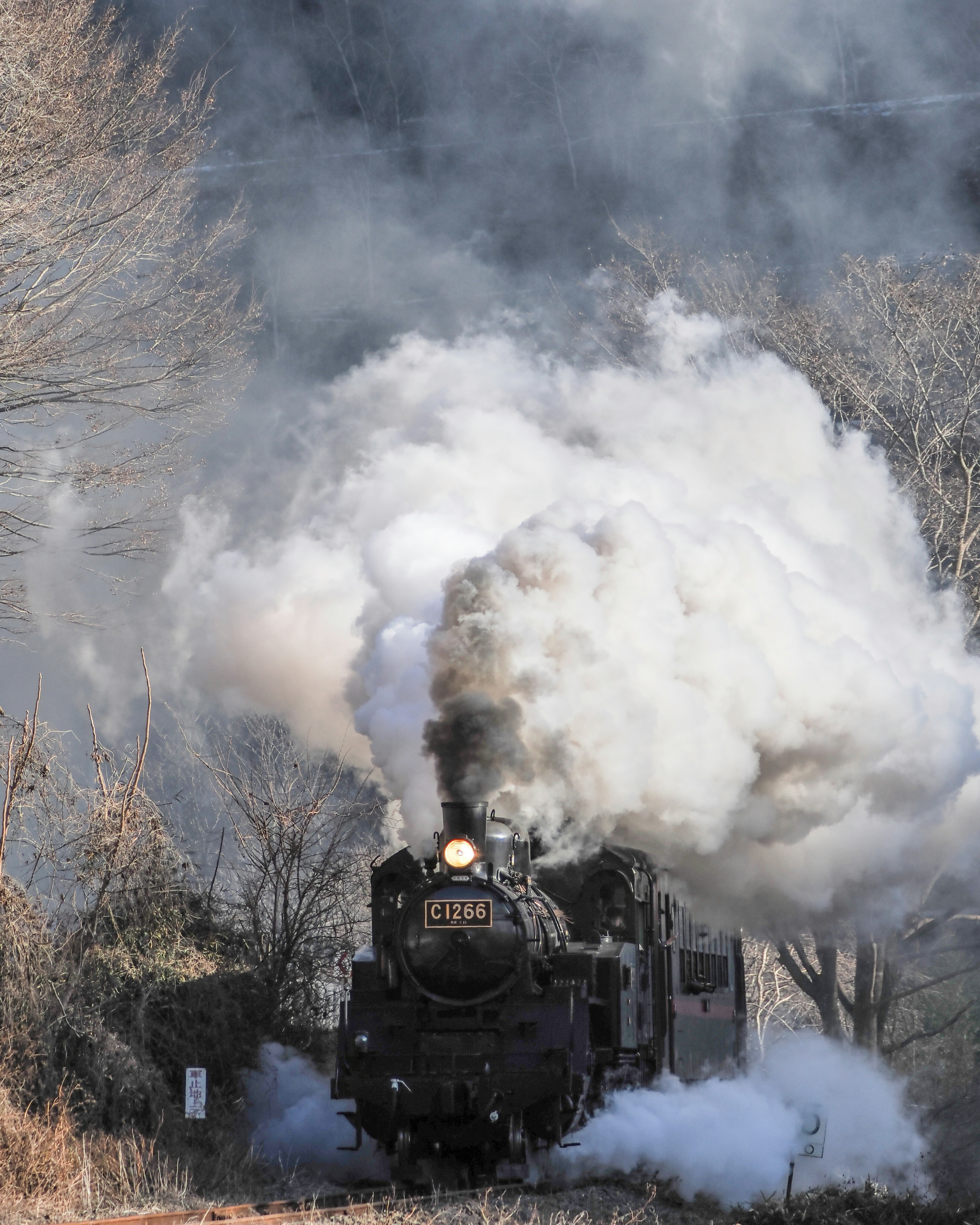 Steam locomotive emitting smoke while traveling