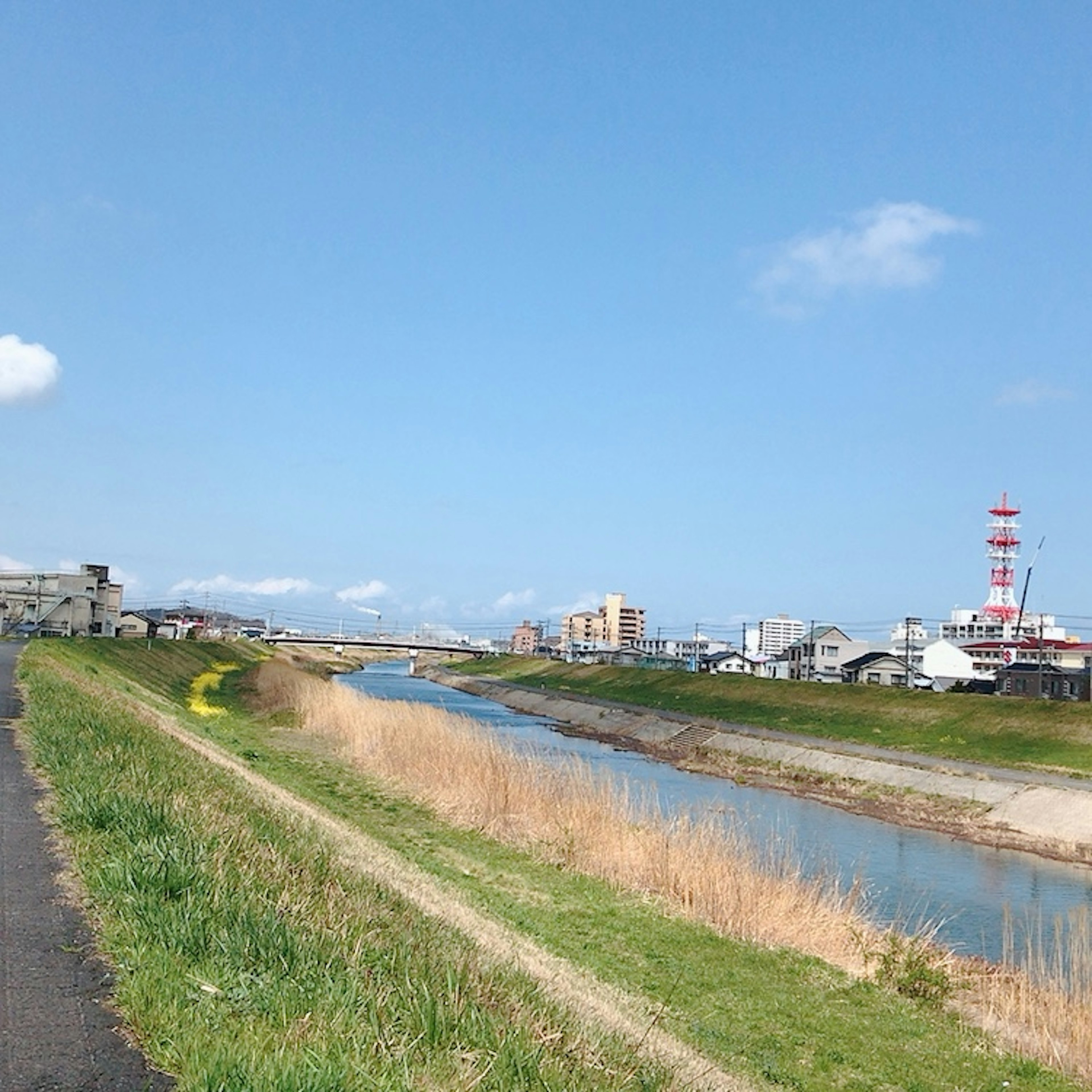 青空の下に広がる河川と周囲の建物の景観