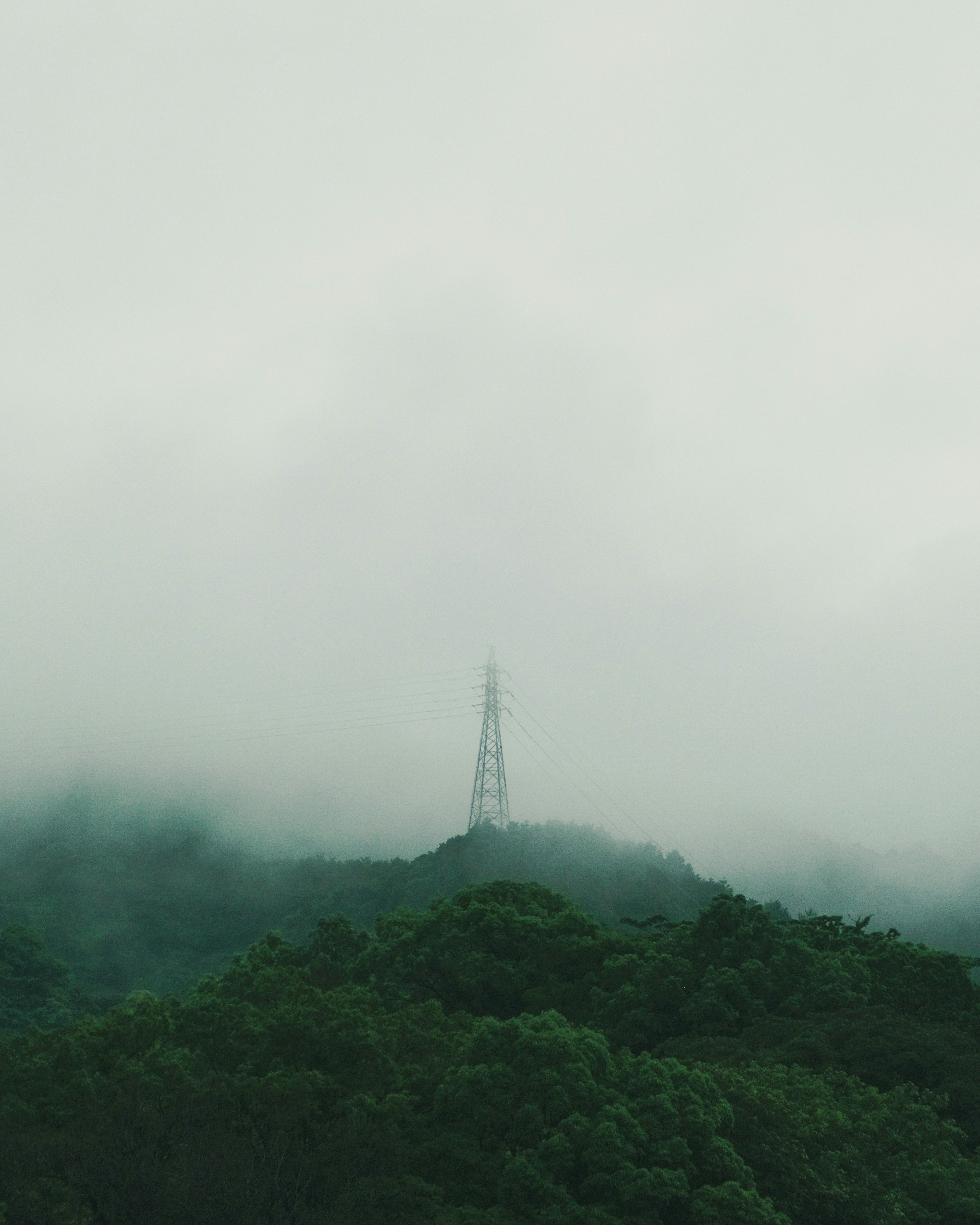 霧に包まれた山の頂上に立つ通信塔 緑豊かな森に囲まれた静かな風景