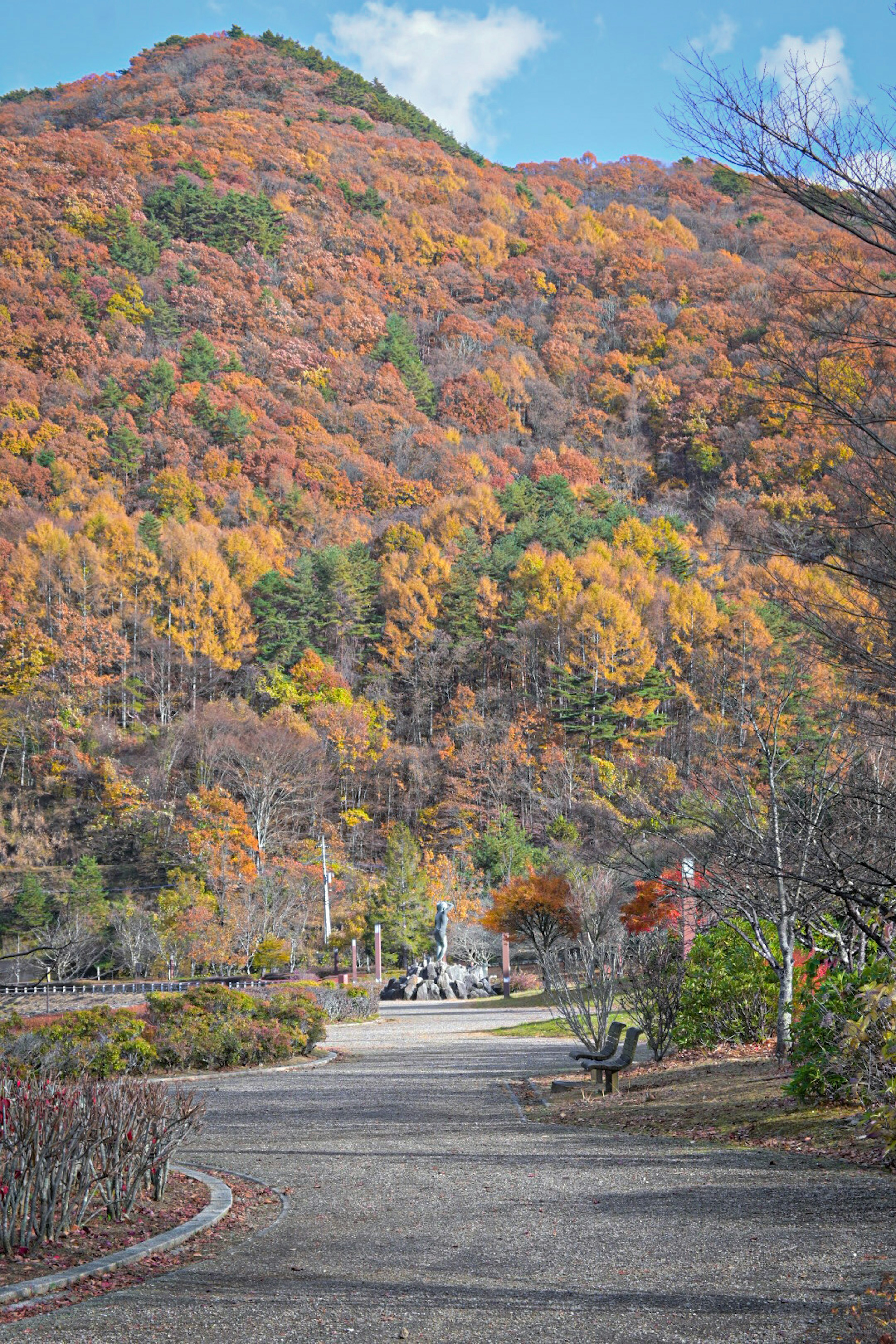 秋の色彩に包まれた山と舗装された道の風景