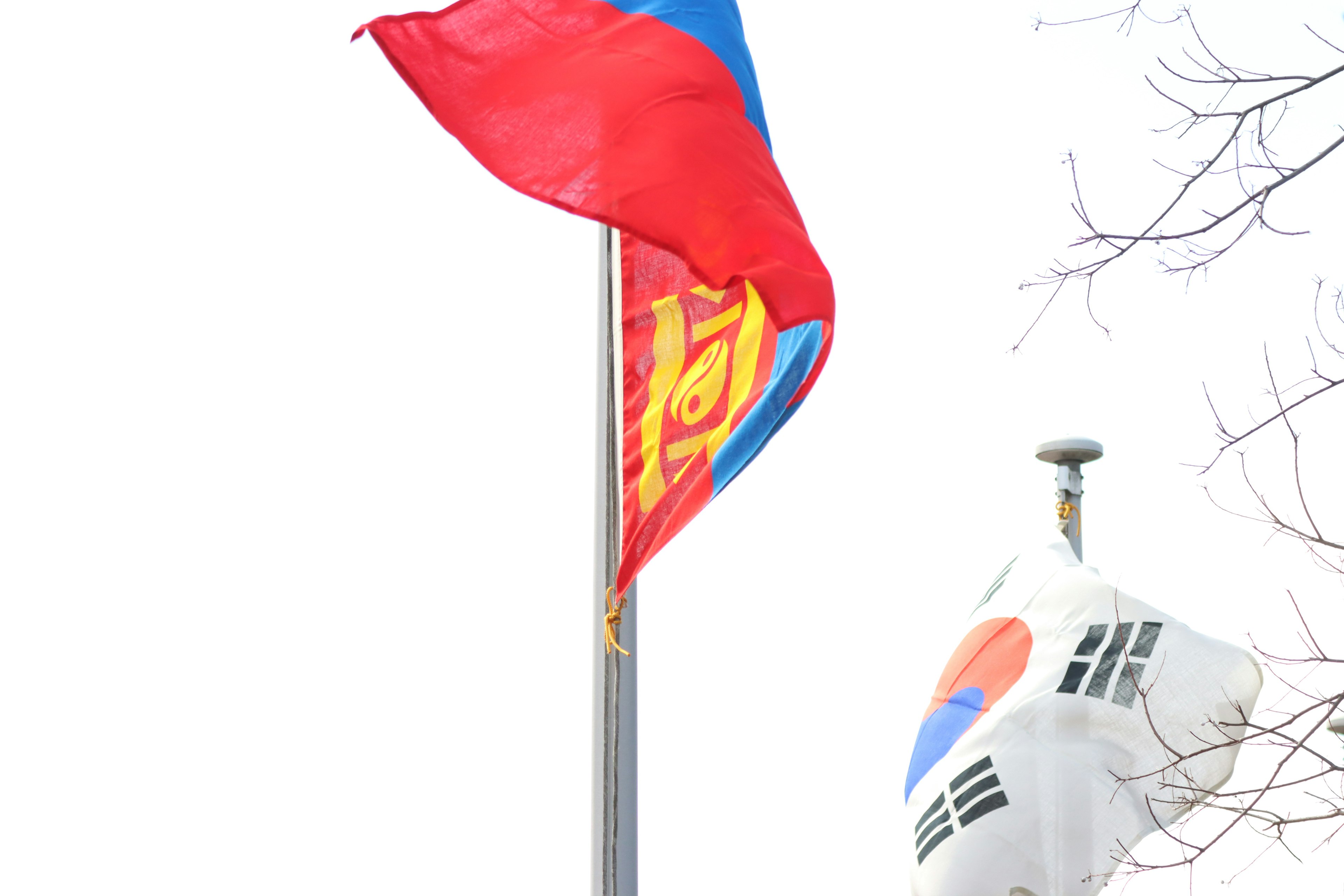 Bandera de Mongolia y bandera de Corea del Sur ondeando juntas