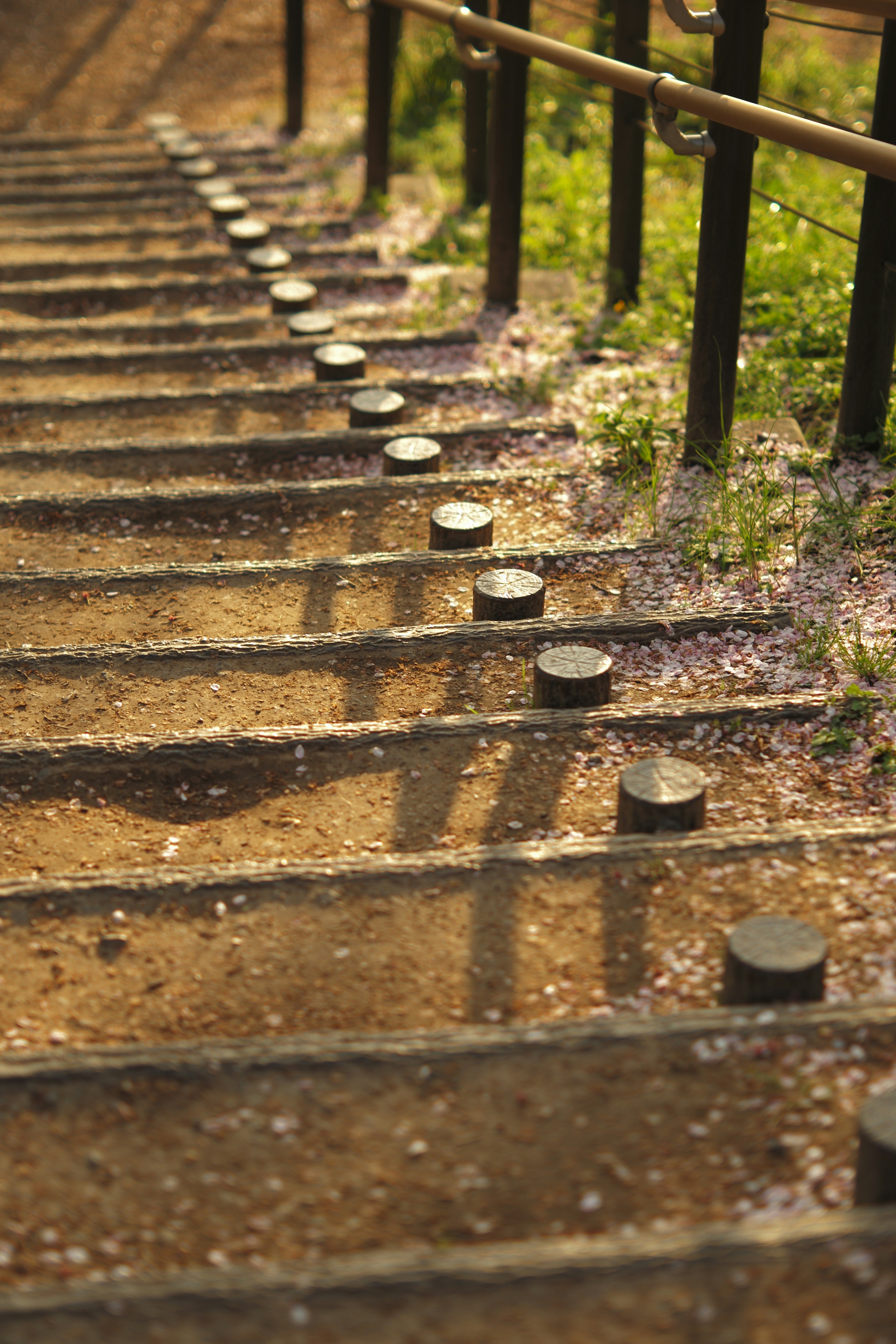 Steps with round stones and surrounding green plants