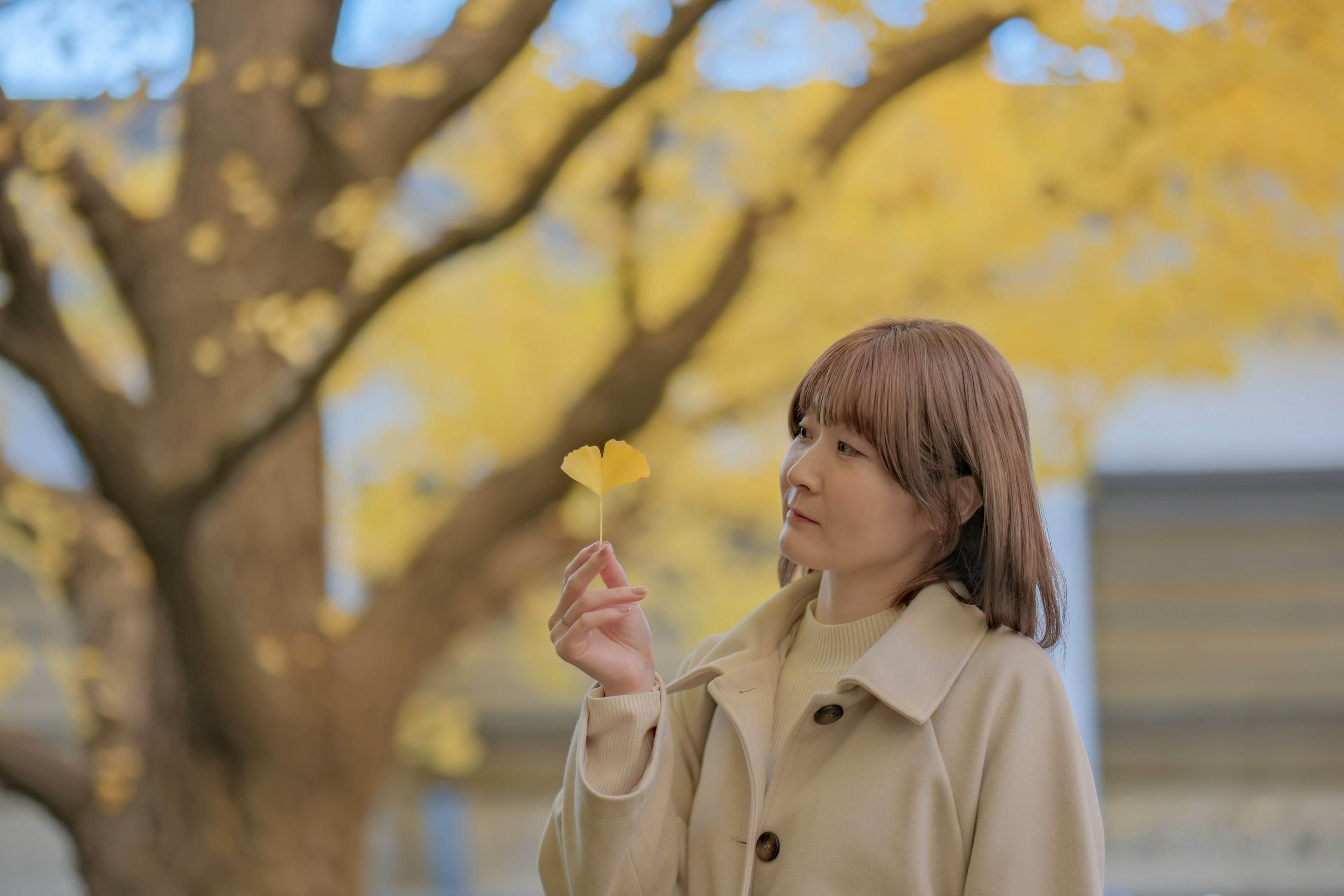 Frau hält ein gelbes Ginkgo-Blatt mit einem Ginkgo-Baum im Hintergrund