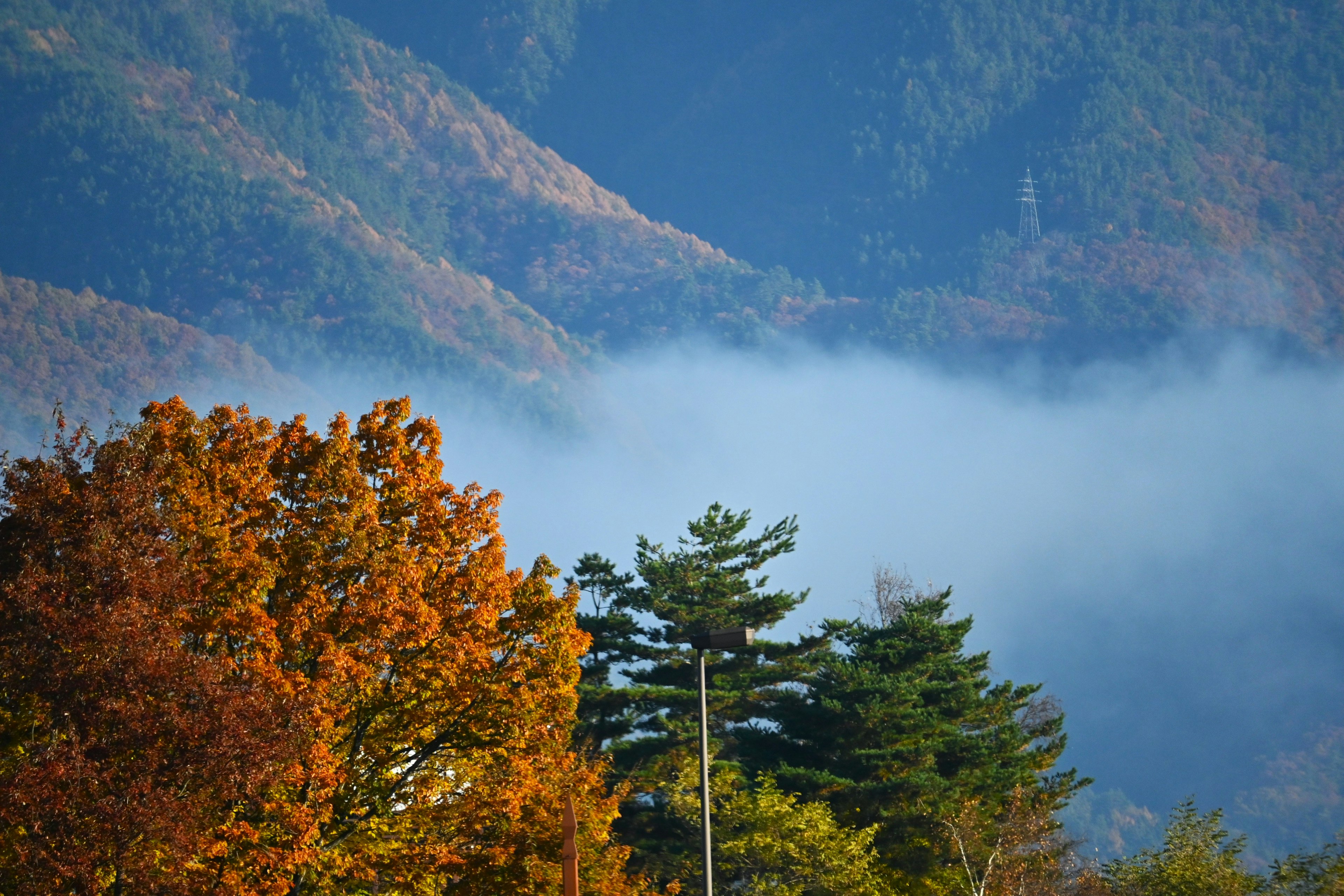 Malersicher Blick auf Herbstlaub mit nebligen Bergen im Hintergrund