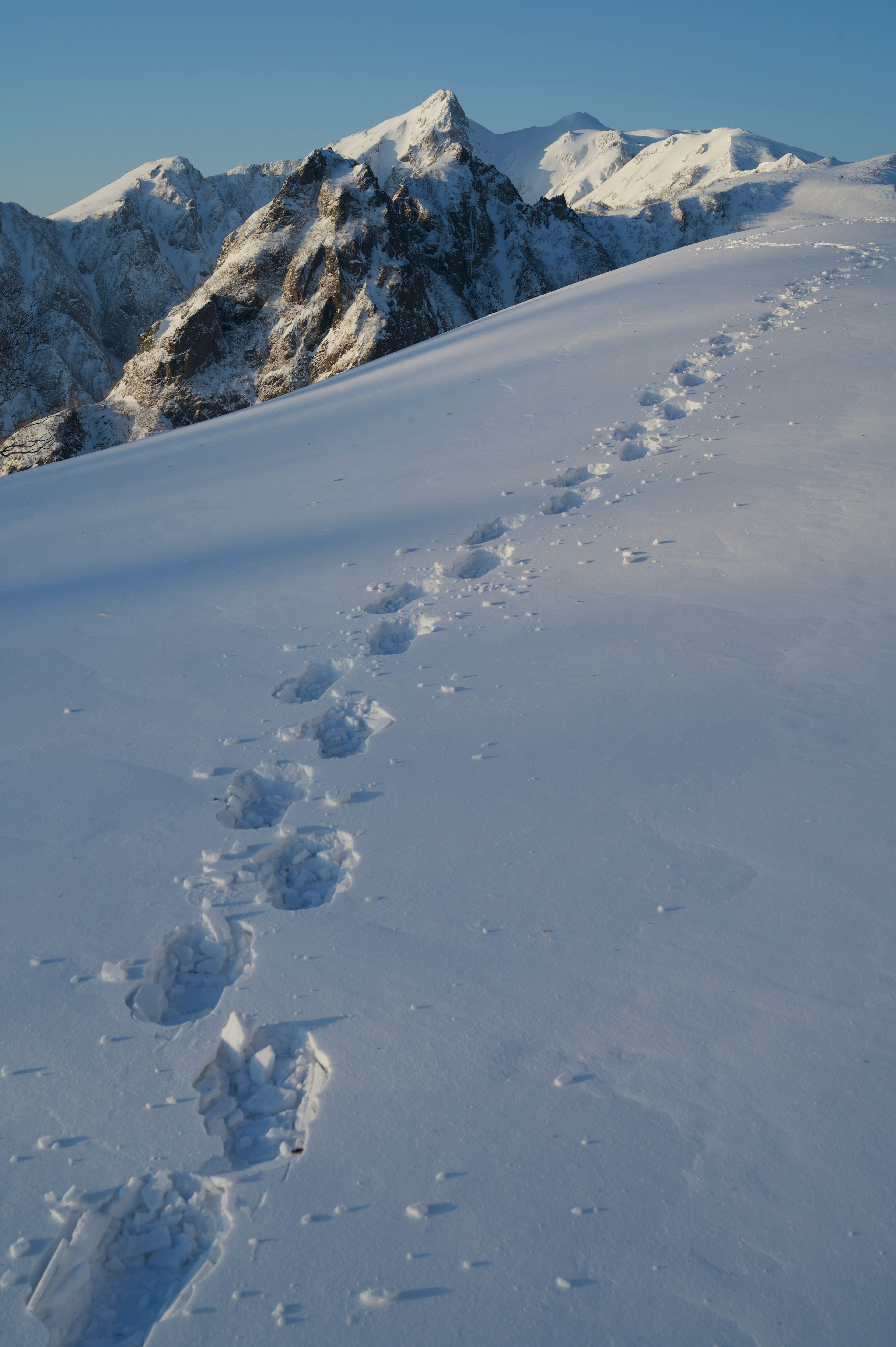 Footprints in the snow on a mountain trail