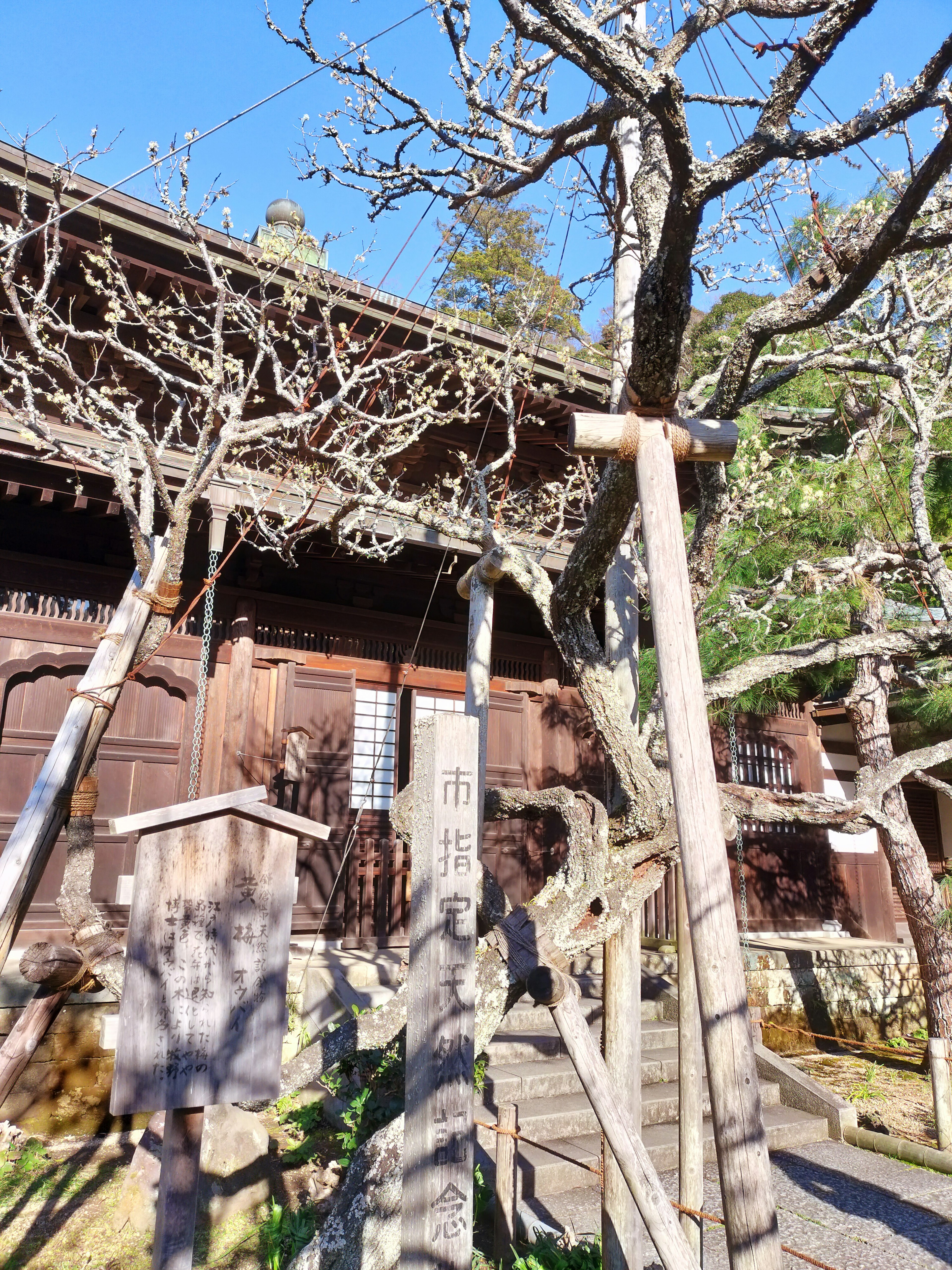 Antica architettura in legno con alberi spogli d'inverno