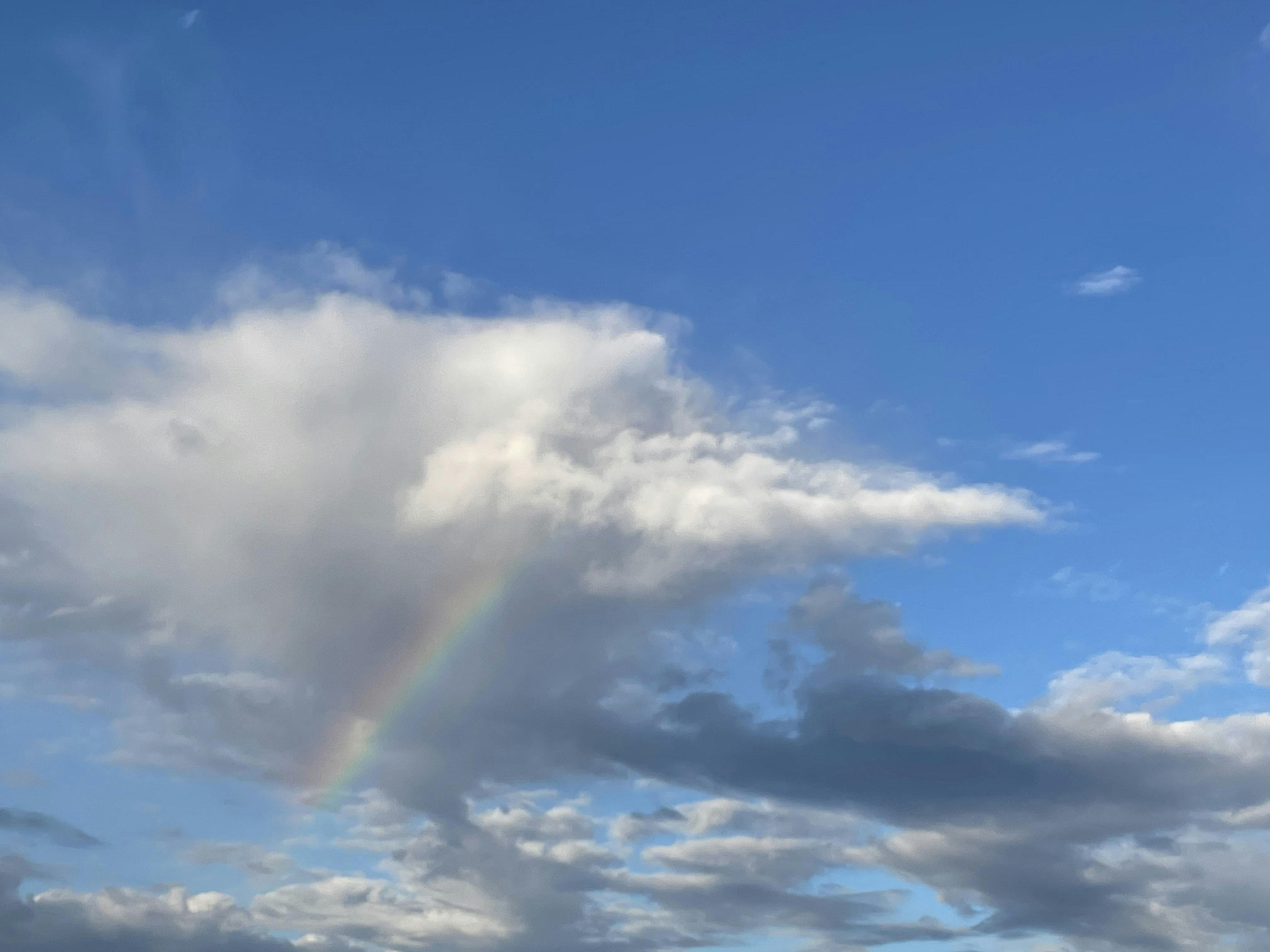 青空に浮かぶ雲と虹