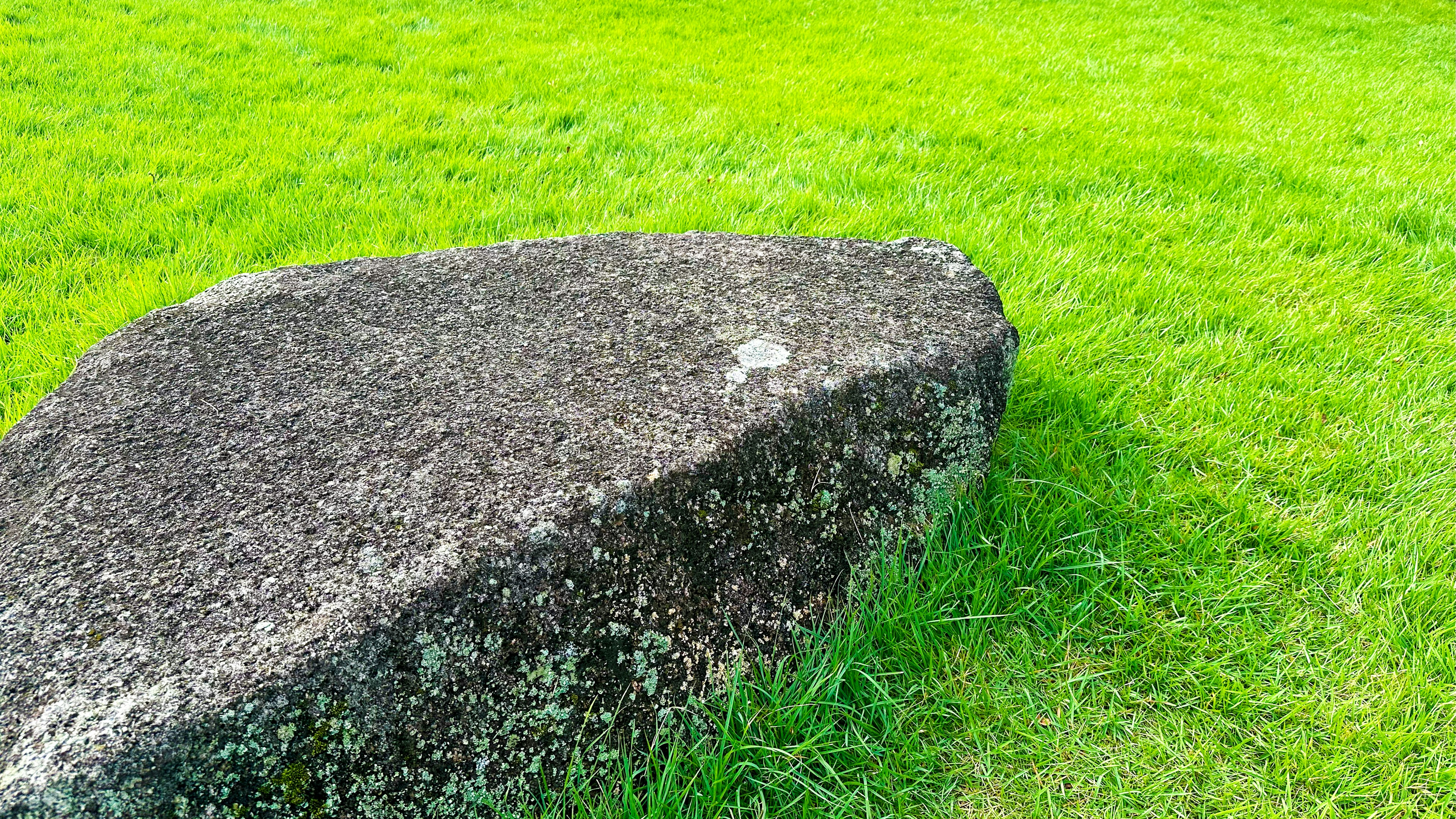 Großer Stein auf grünem Gras