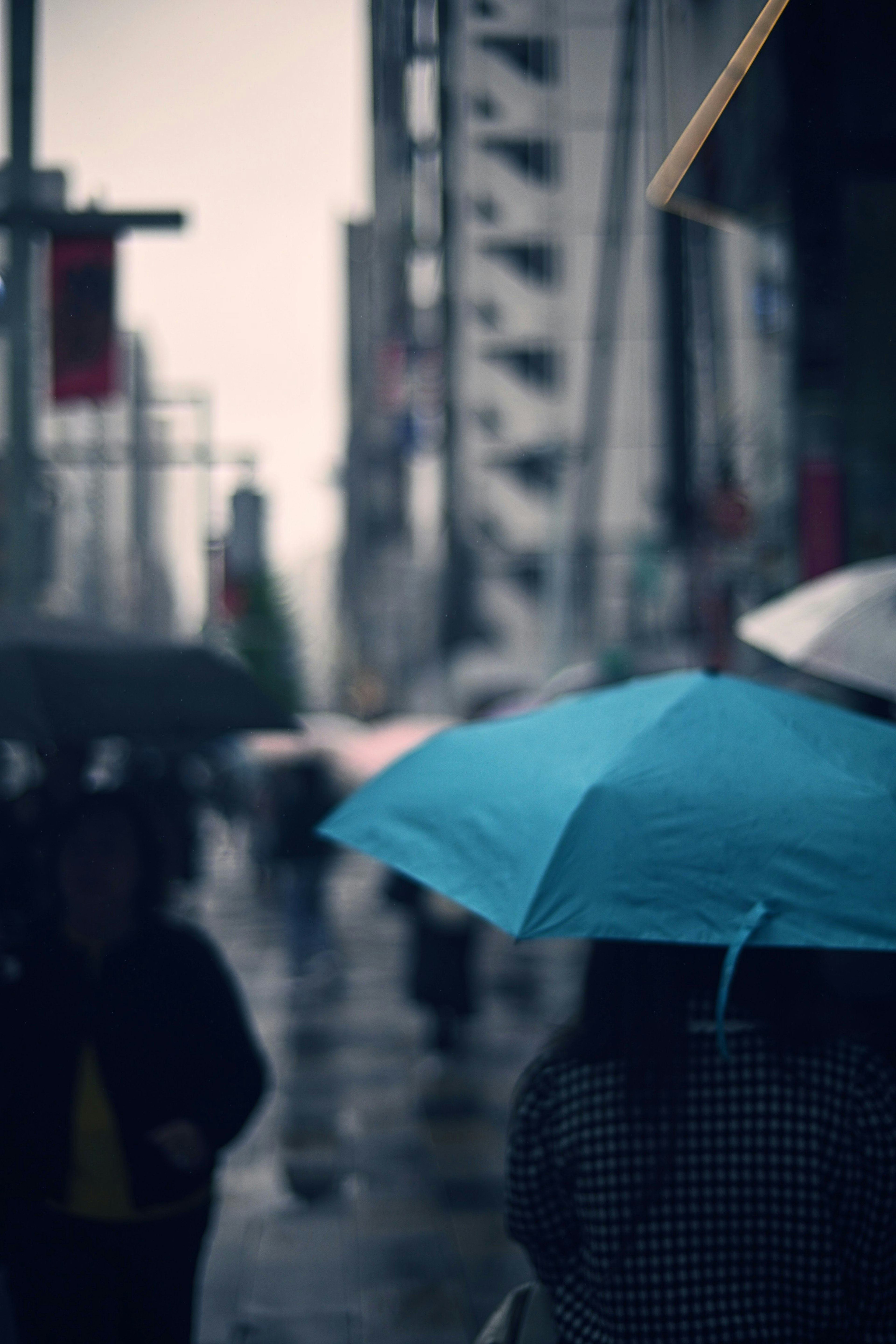 人們在雨天的城市中走動，手持藍色雨傘