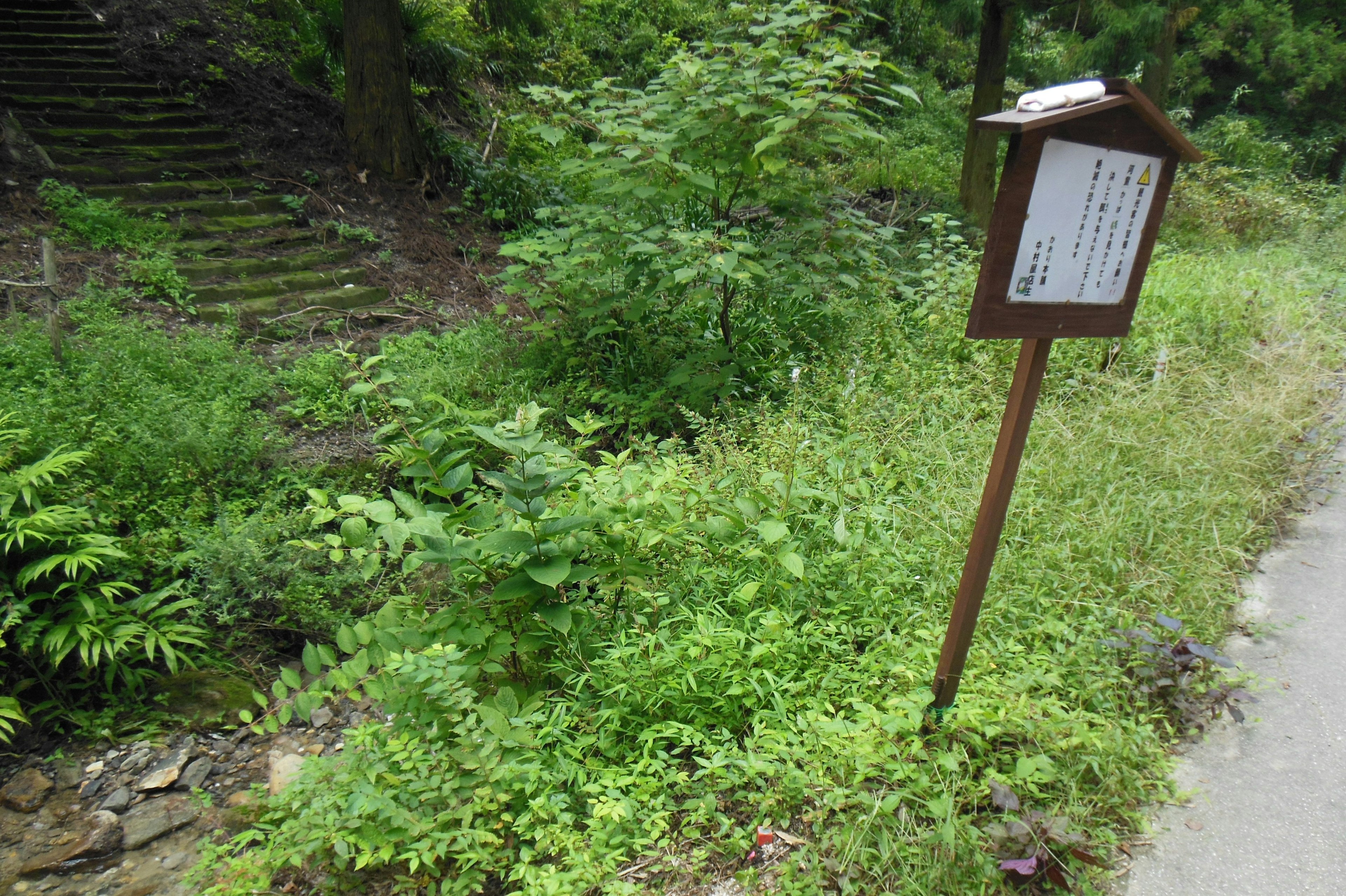 緑豊かな環境に立つ情報看板と周囲の植物