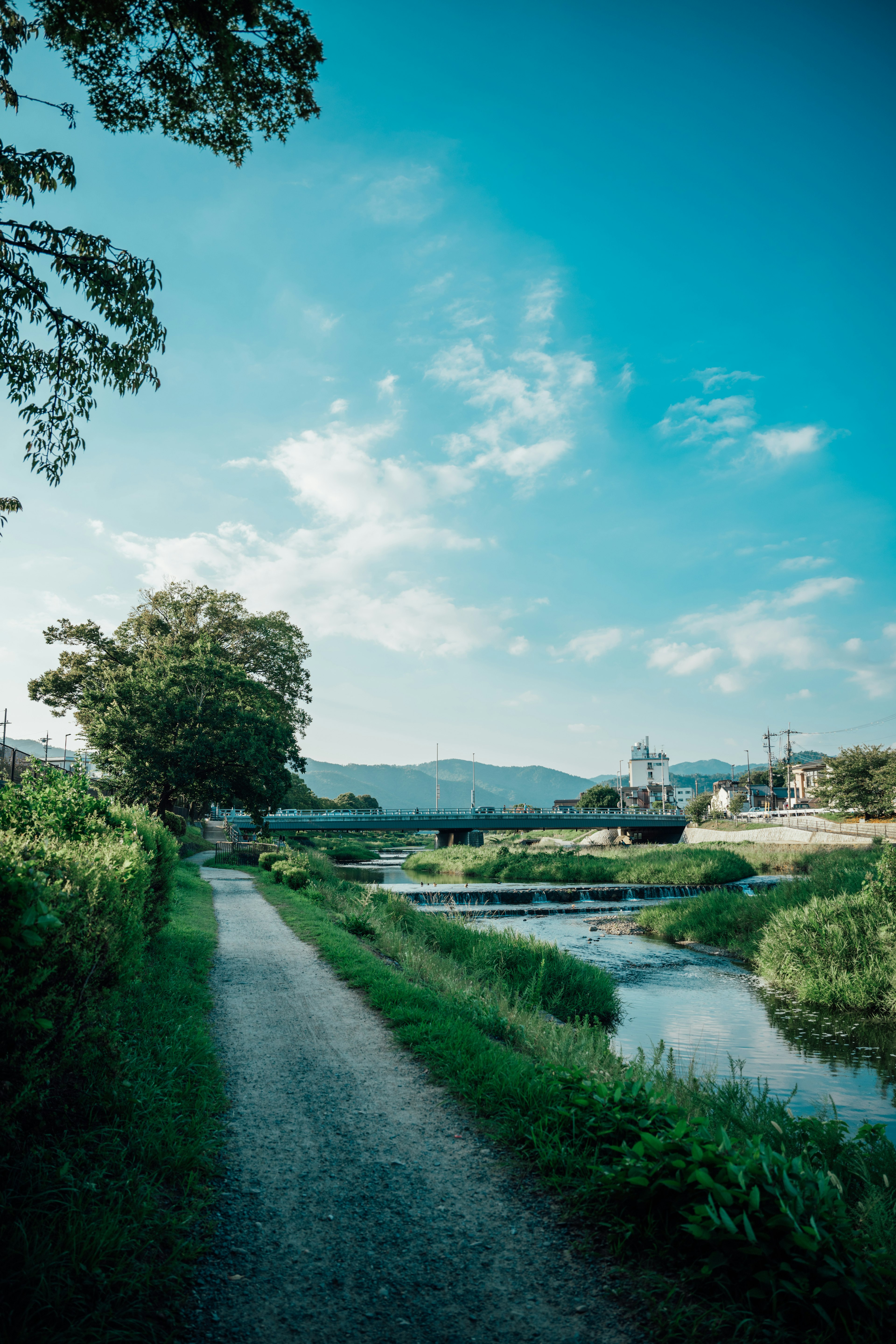 Chemin pittoresque au bord de la rivière sous un ciel bleu avec de la verdure et des montagnes