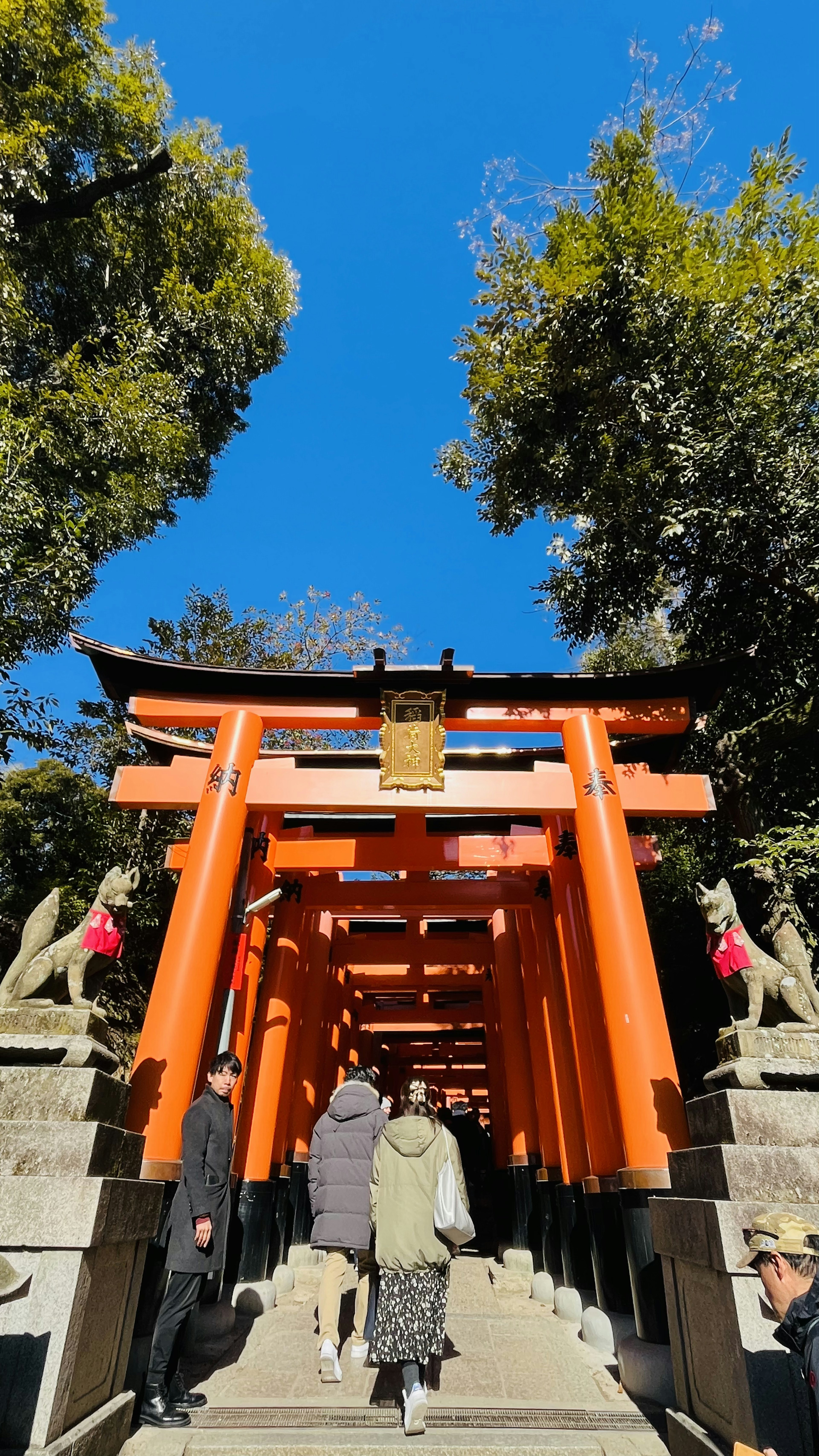 View of red torii gates with people walking along the path