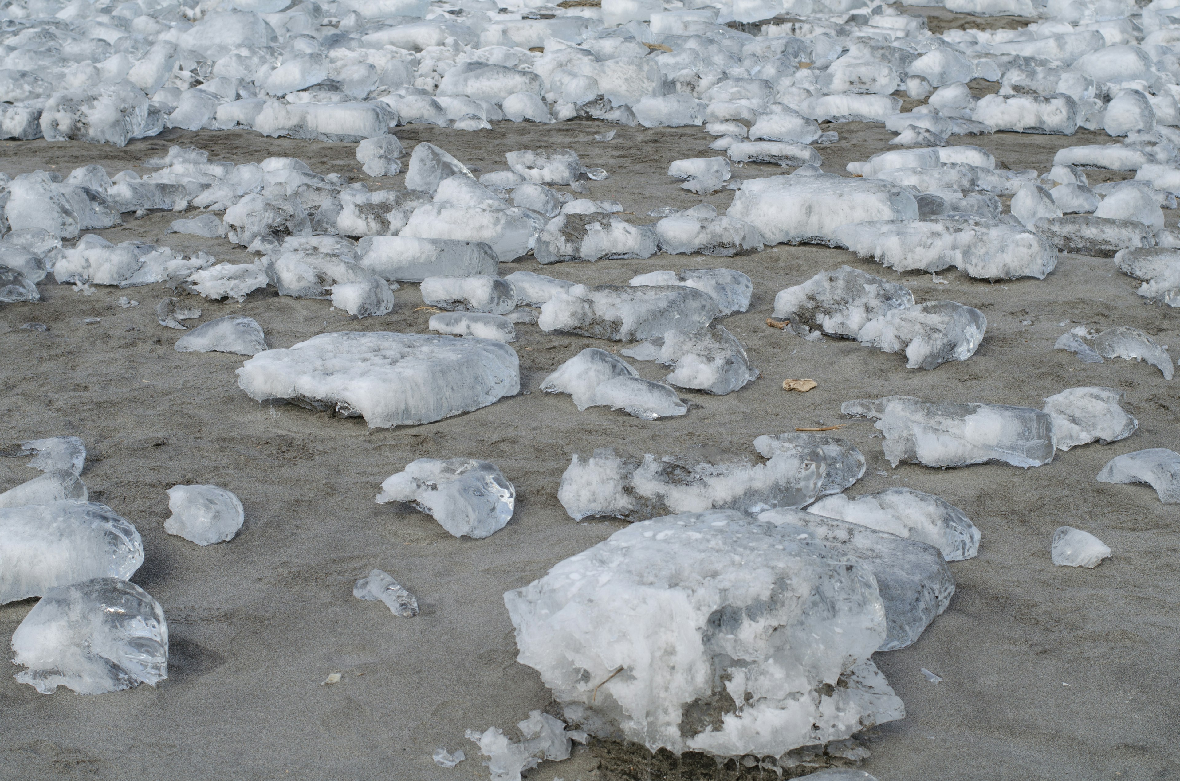 Des morceaux de glace éparpillés sur une plage de sable