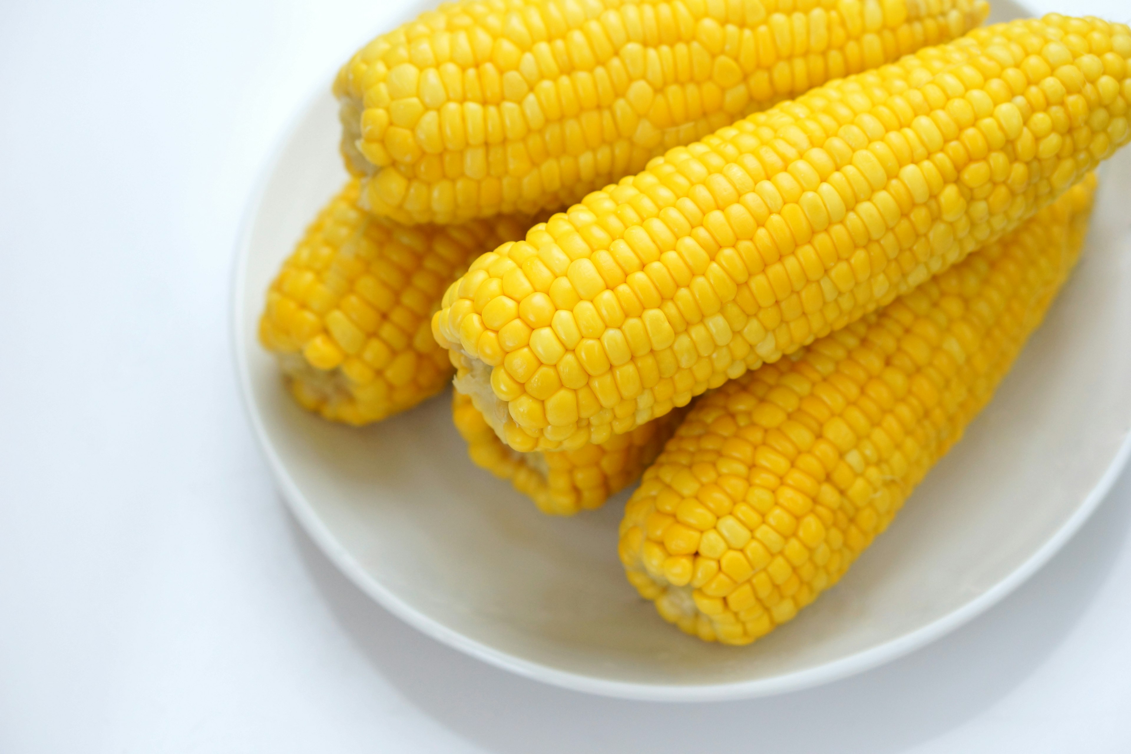 Mazorcas de maíz amarillas frescas en un plato blanco