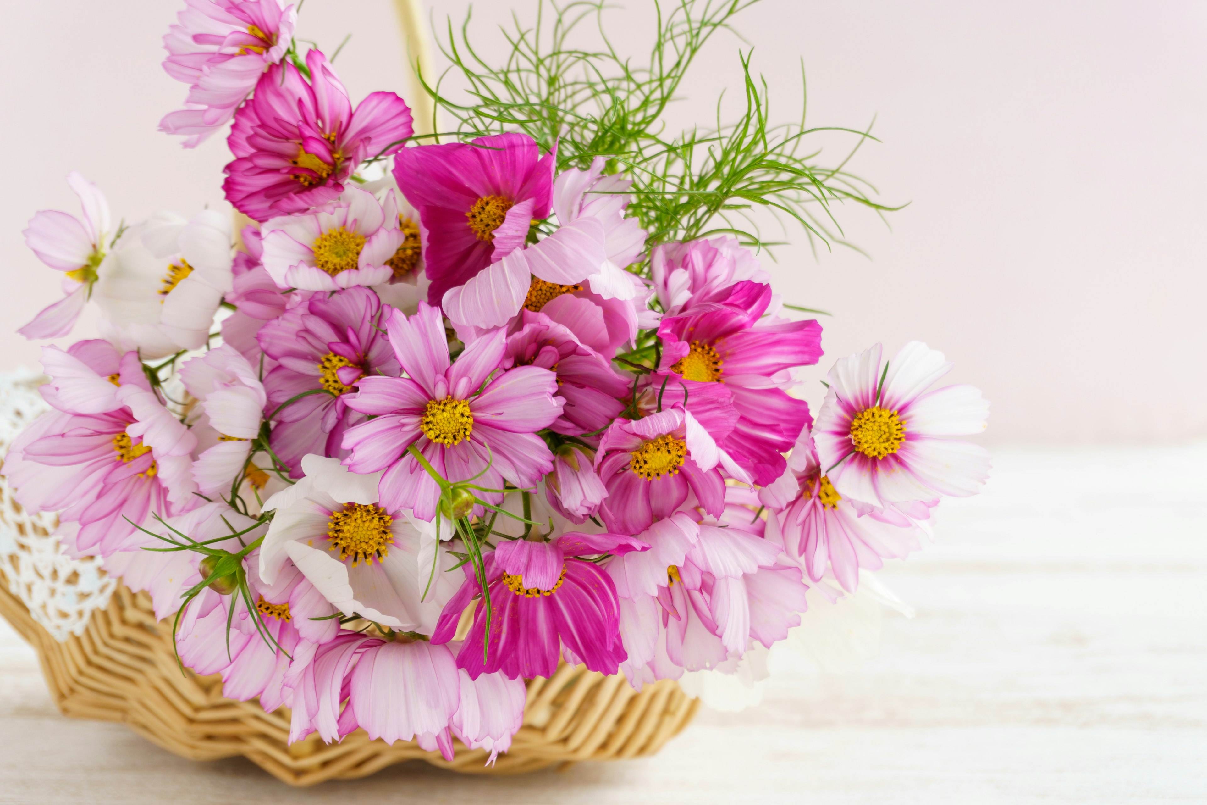 A bouquet of pink and white cosmos flowers in a wicker basket