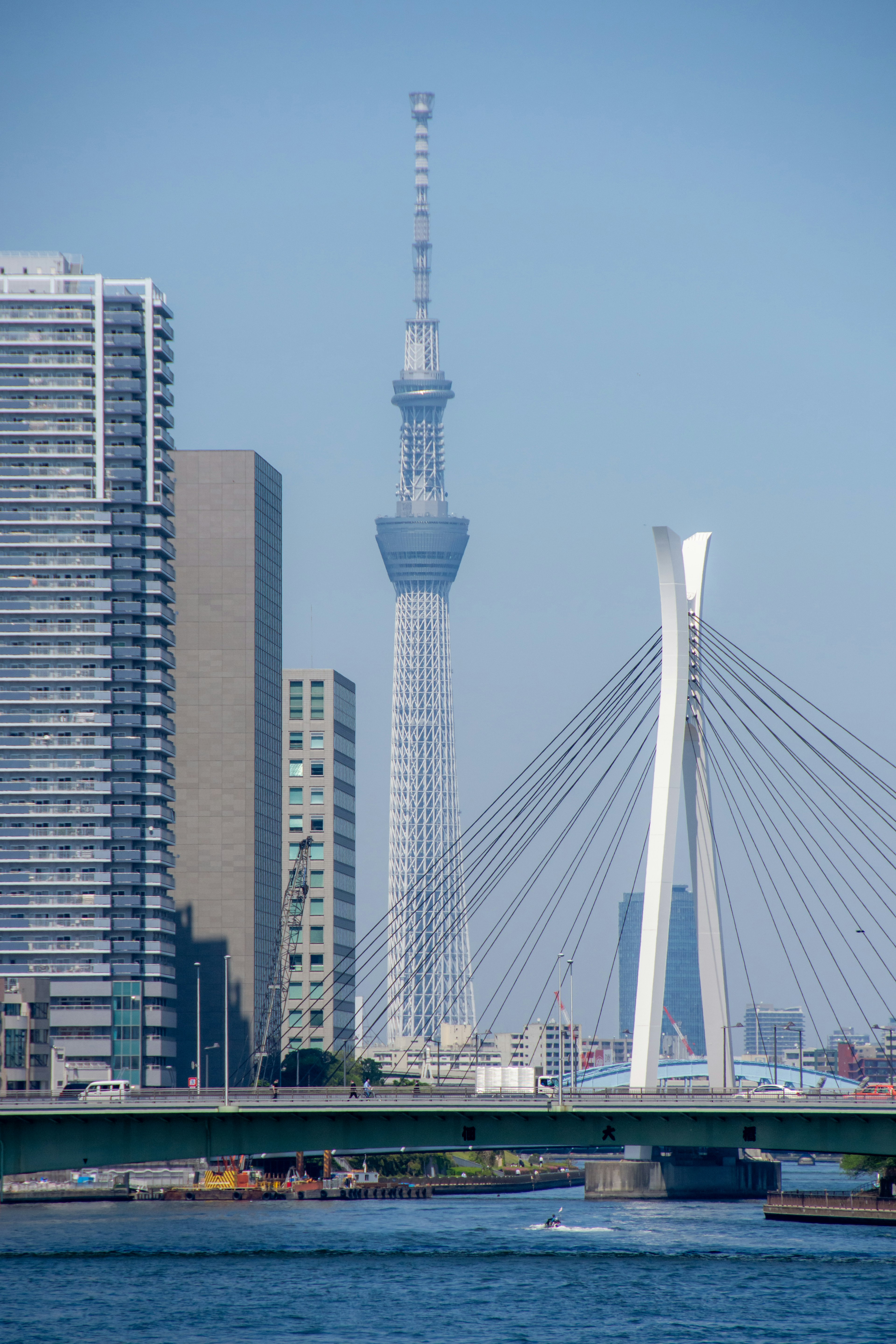 東京晴空塔和橋的景觀