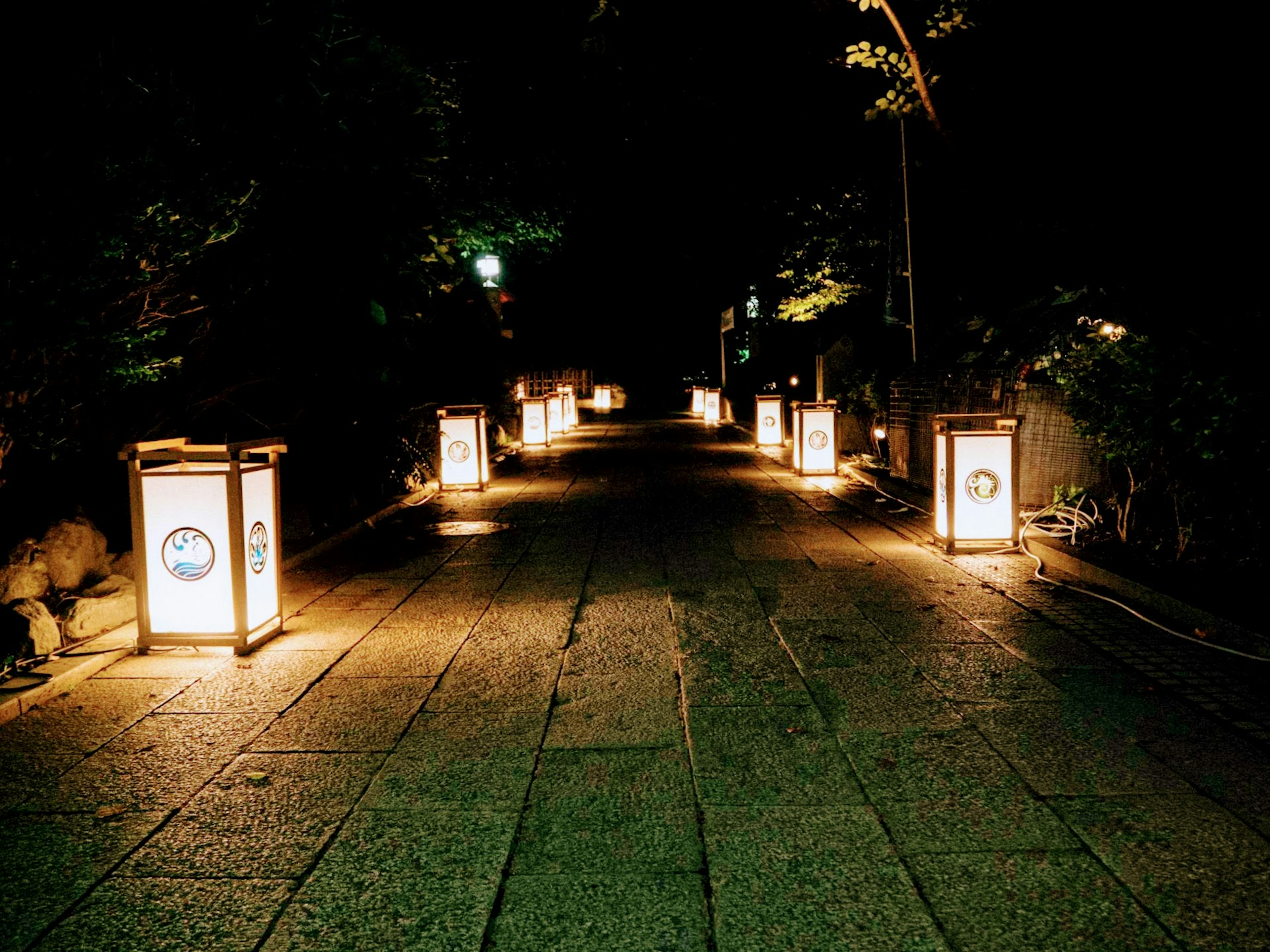 Pathway illuminated by traditional lanterns at night