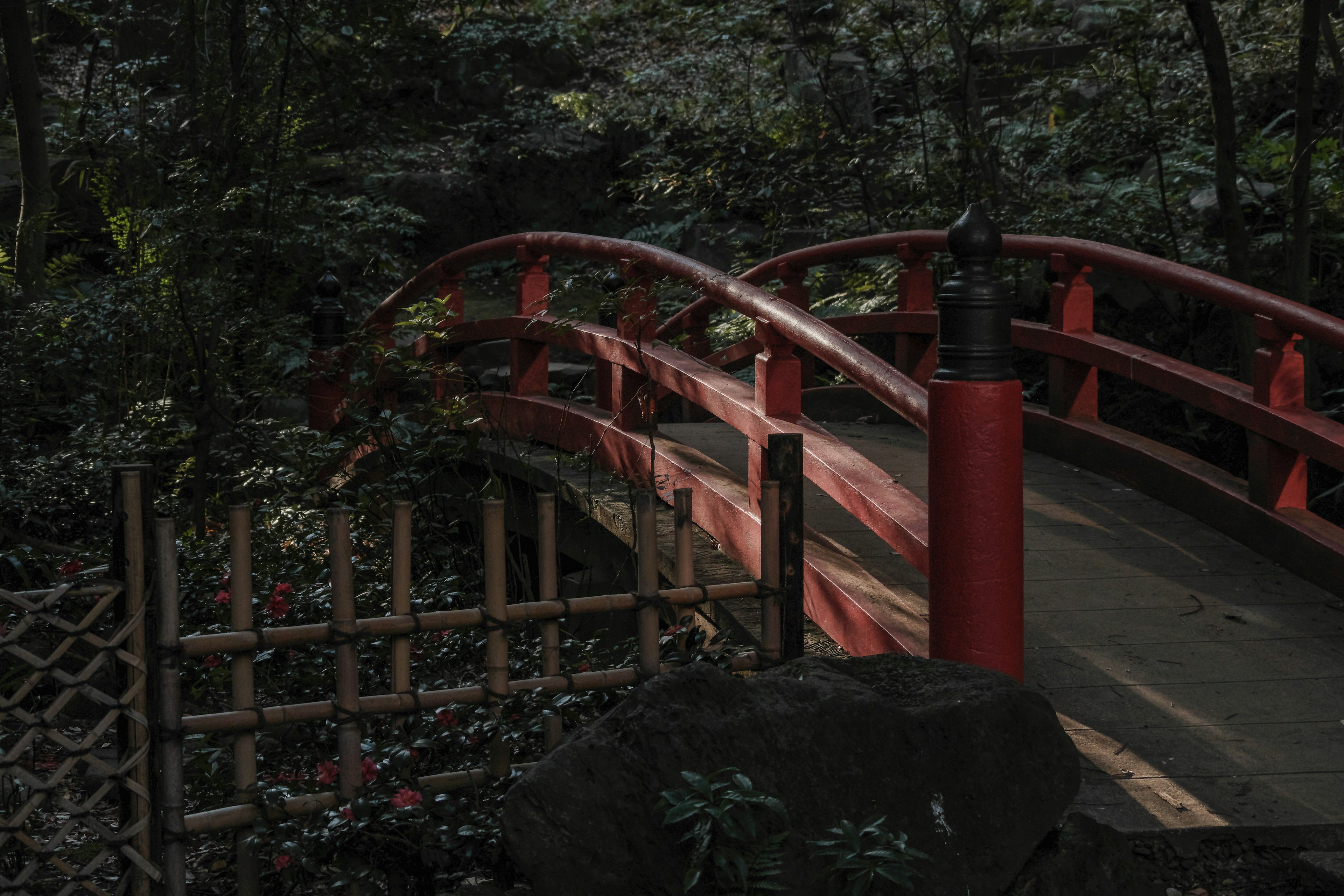 Un puente rojo arqueado sobre un paisaje verde con una cerca de bambú