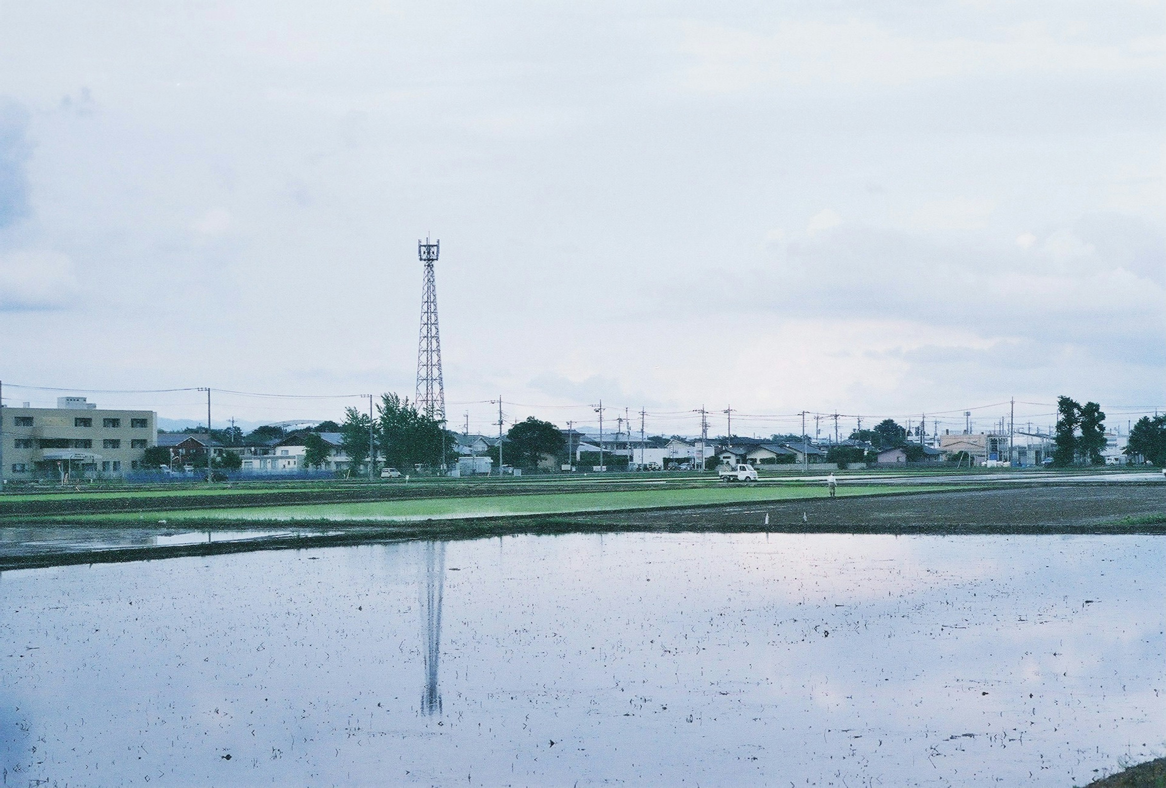 水田の風景と高い電波塔がある静かな田舎の風景