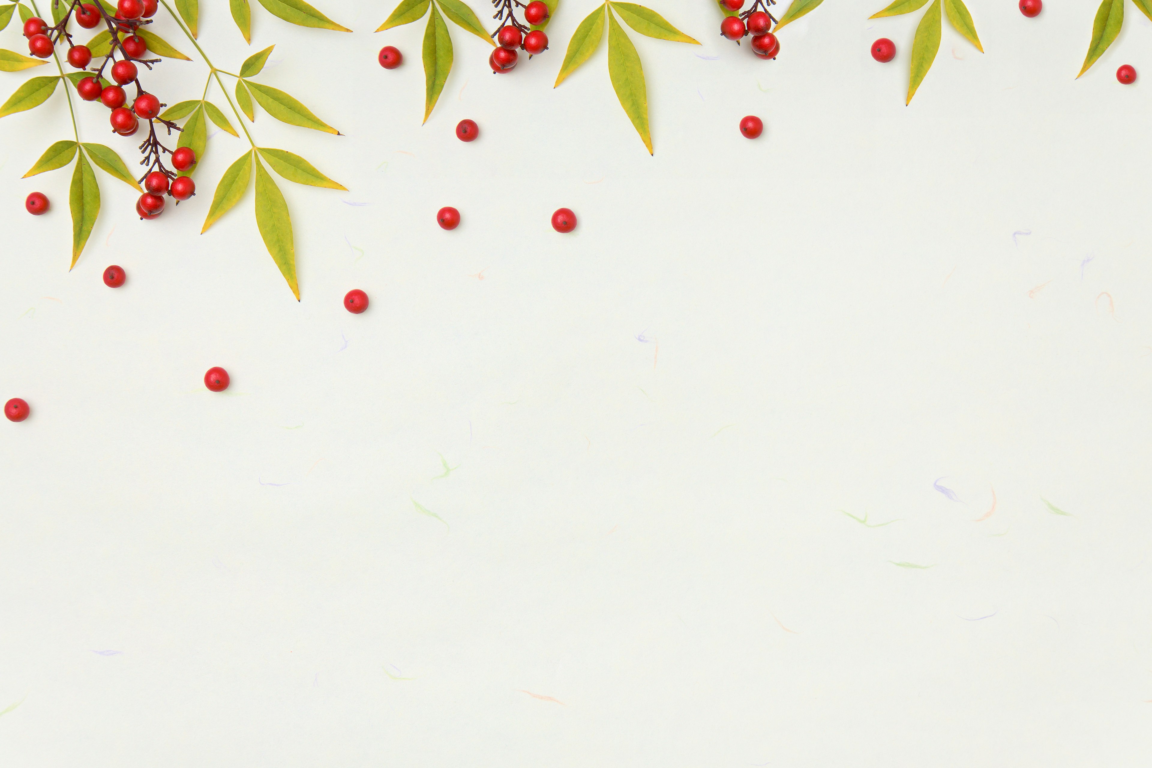 Simple background with scattered red berries and green leaves