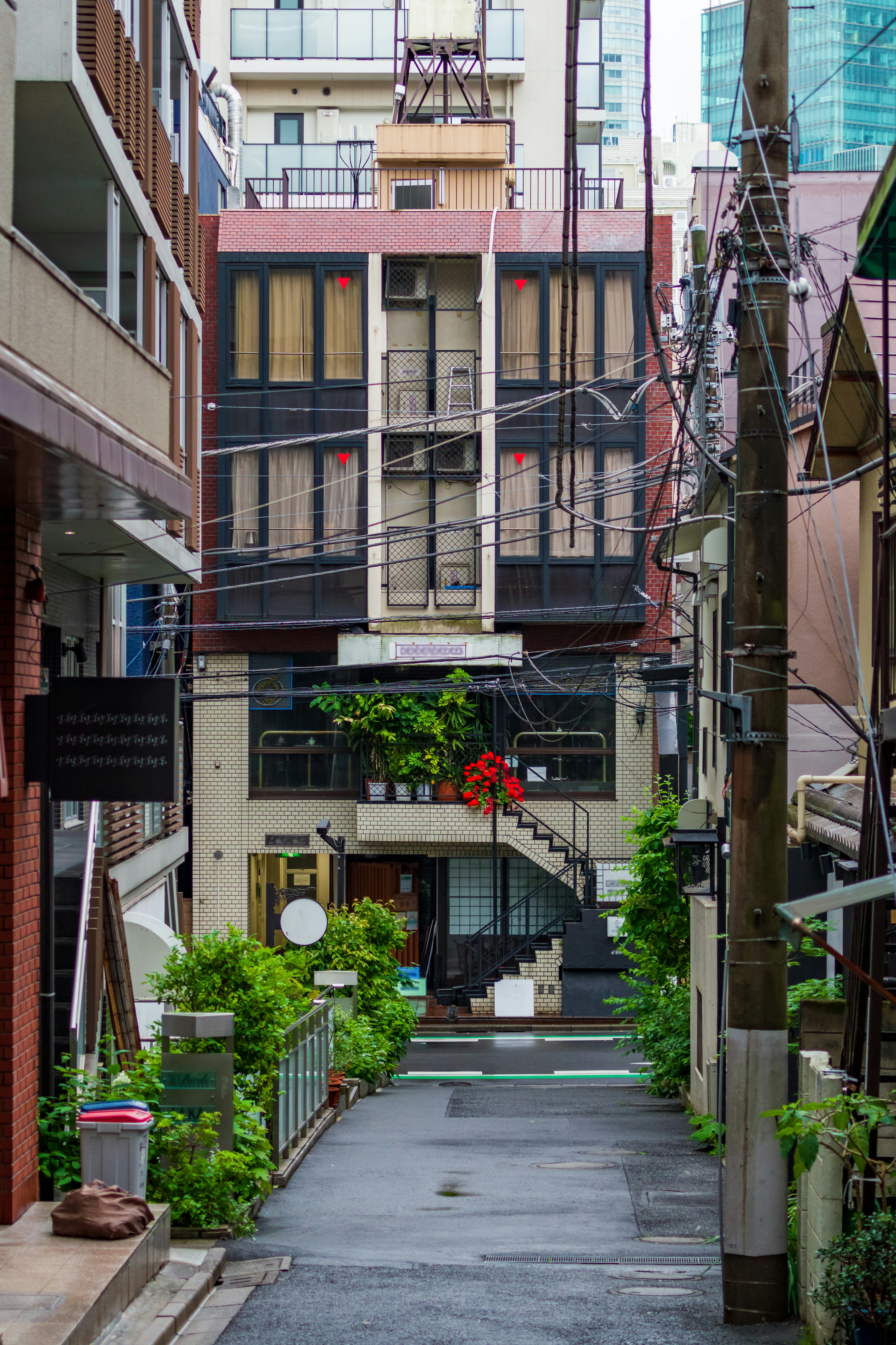 Narrow alley featuring a building facade with lush green plants