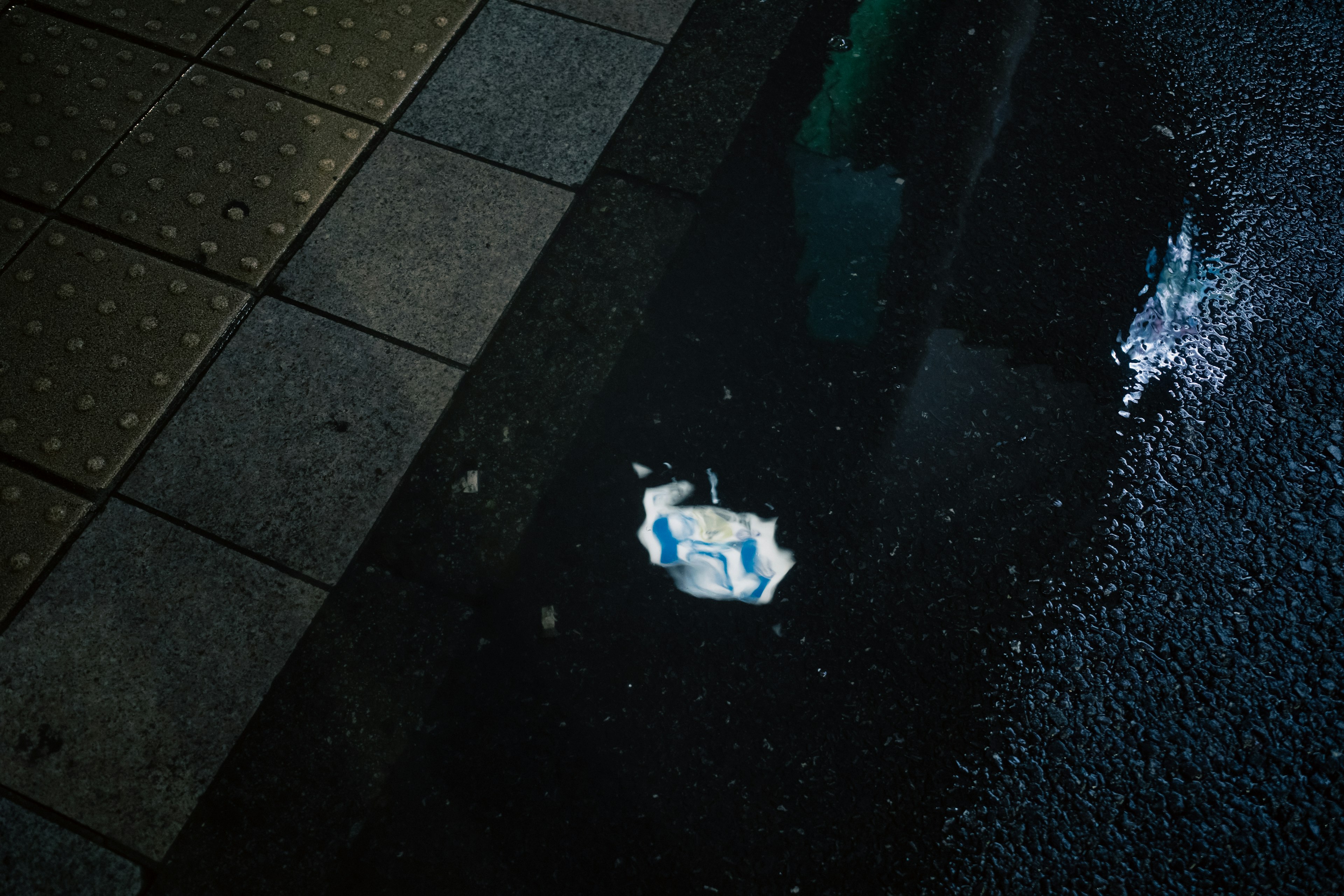 A piece of white paper lying in a puddle on the sidewalk