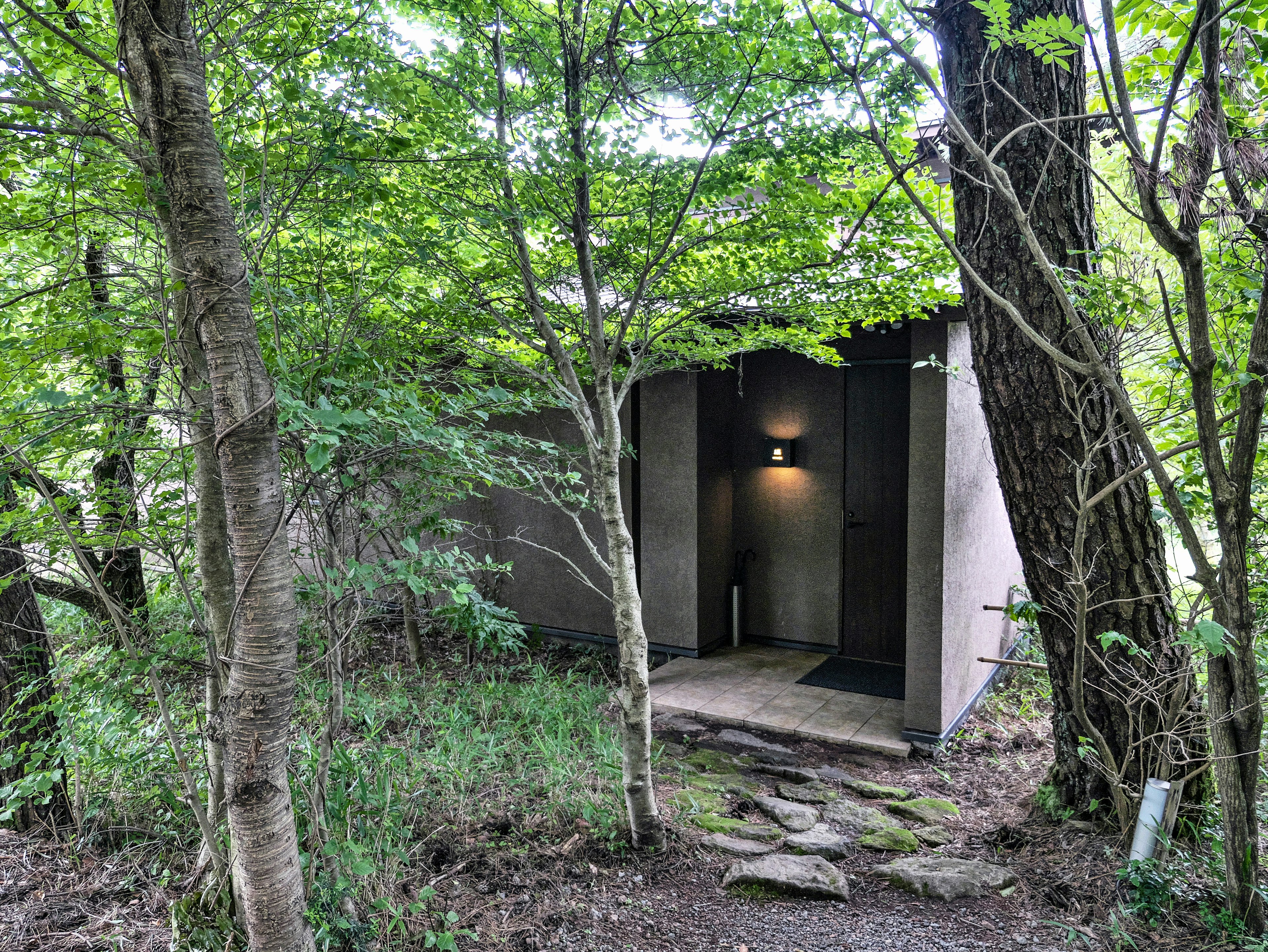 Modern building entrance surrounded by lush greenery