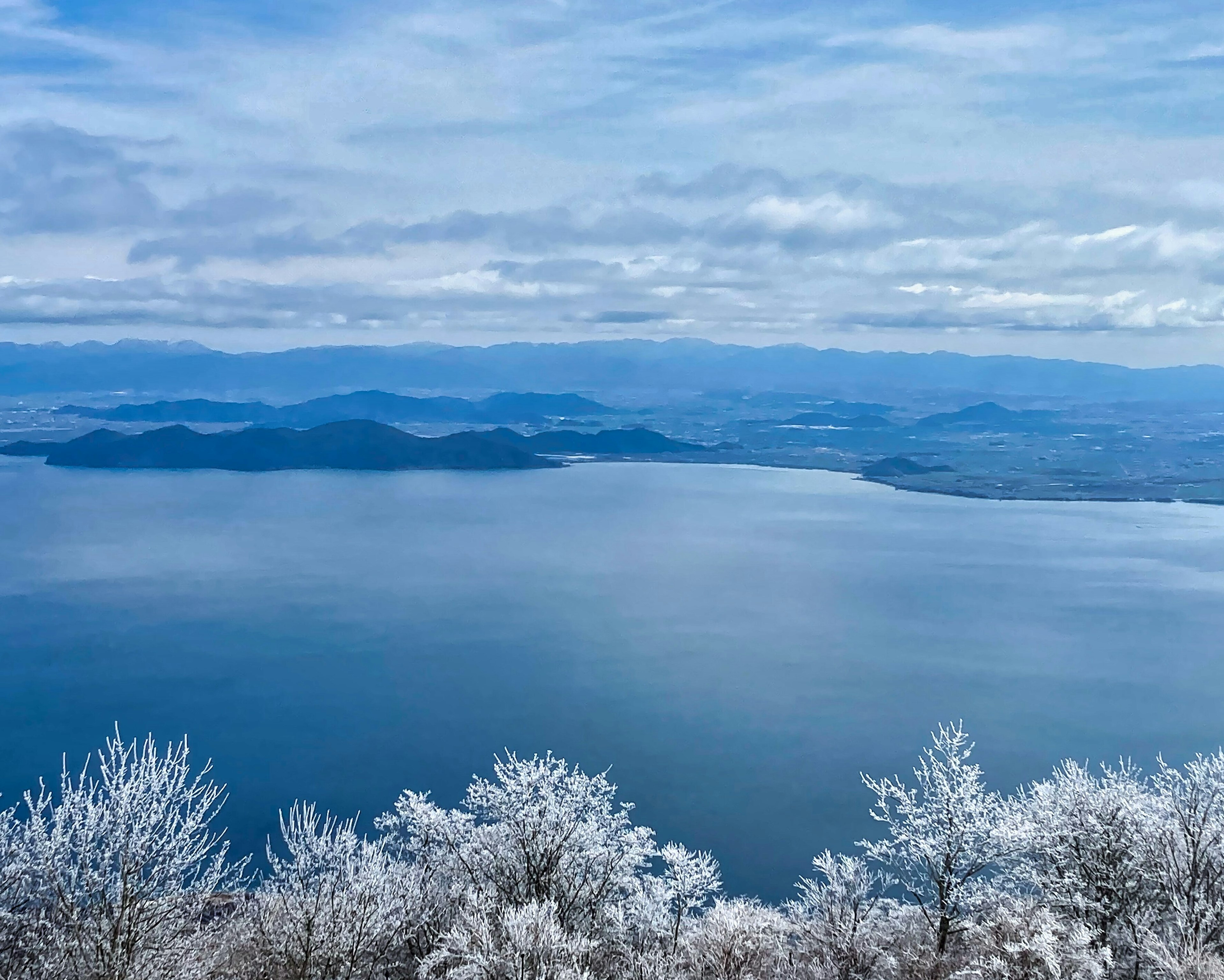 Snow-covered trees and tranquil lake view