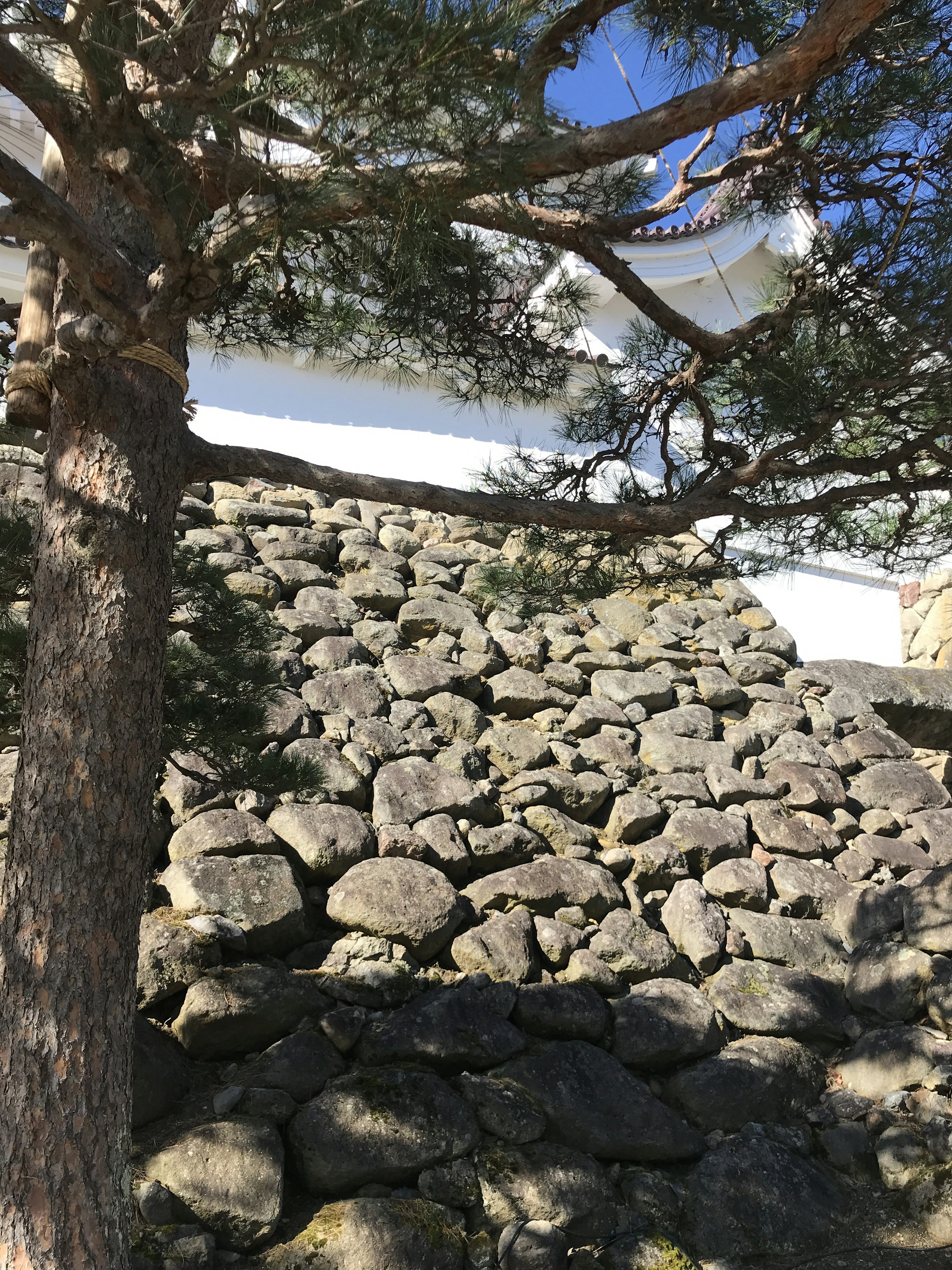 Vista esterna di un castello con un pino e una pendenza di pietre