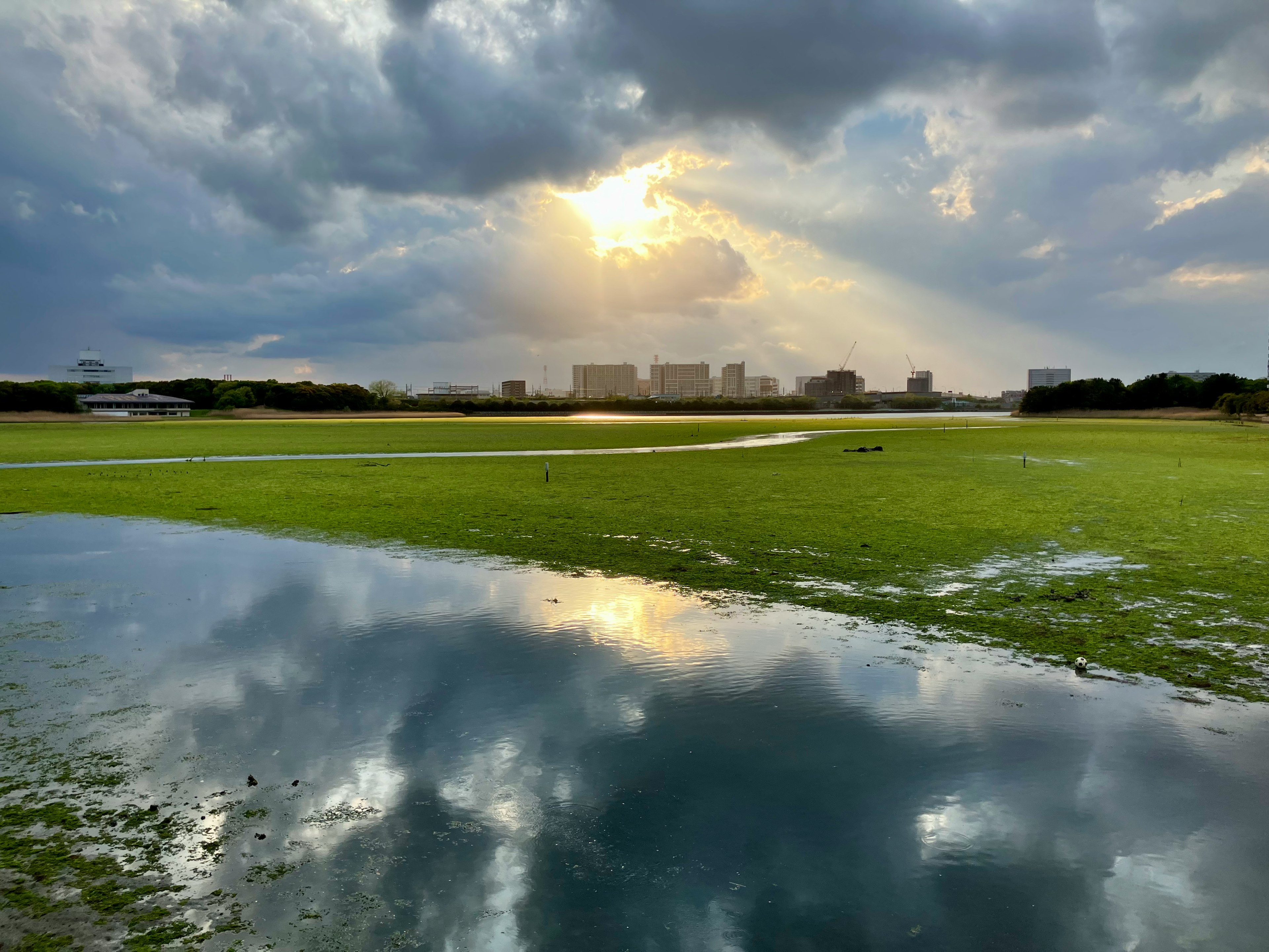 Paysage d'un champ herbeux avec des flaques reflétant le ciel nuageux