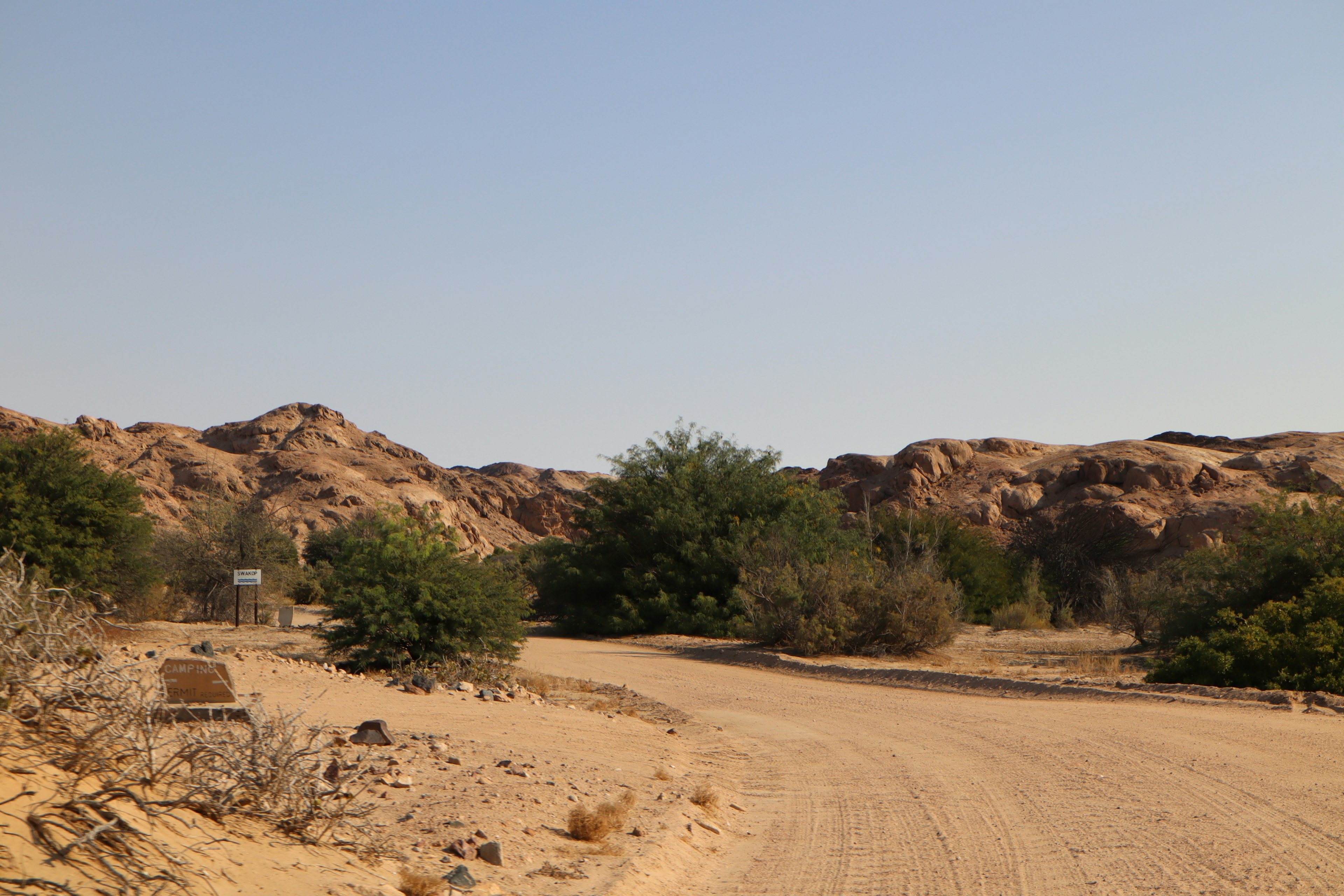 Route en terre serpentant à travers un paysage sec avec une végétation clairsemée