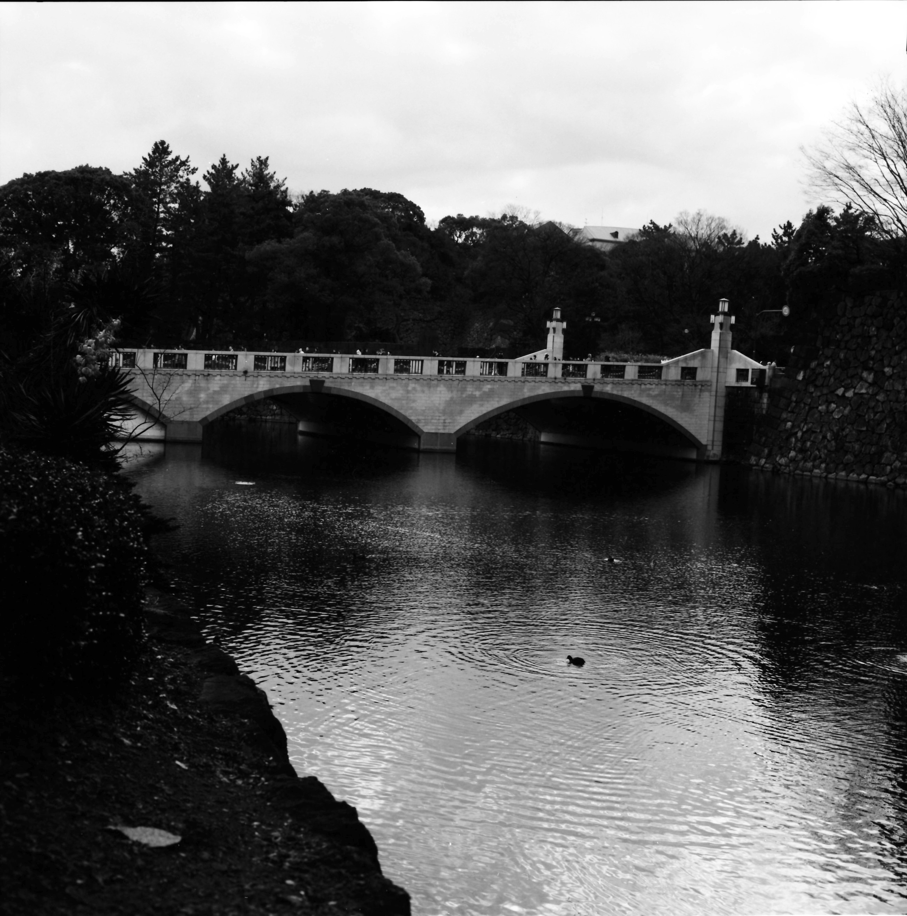 Schwarzweißbild einer Bogenbrücke über einen Fluss, umgeben von Grün