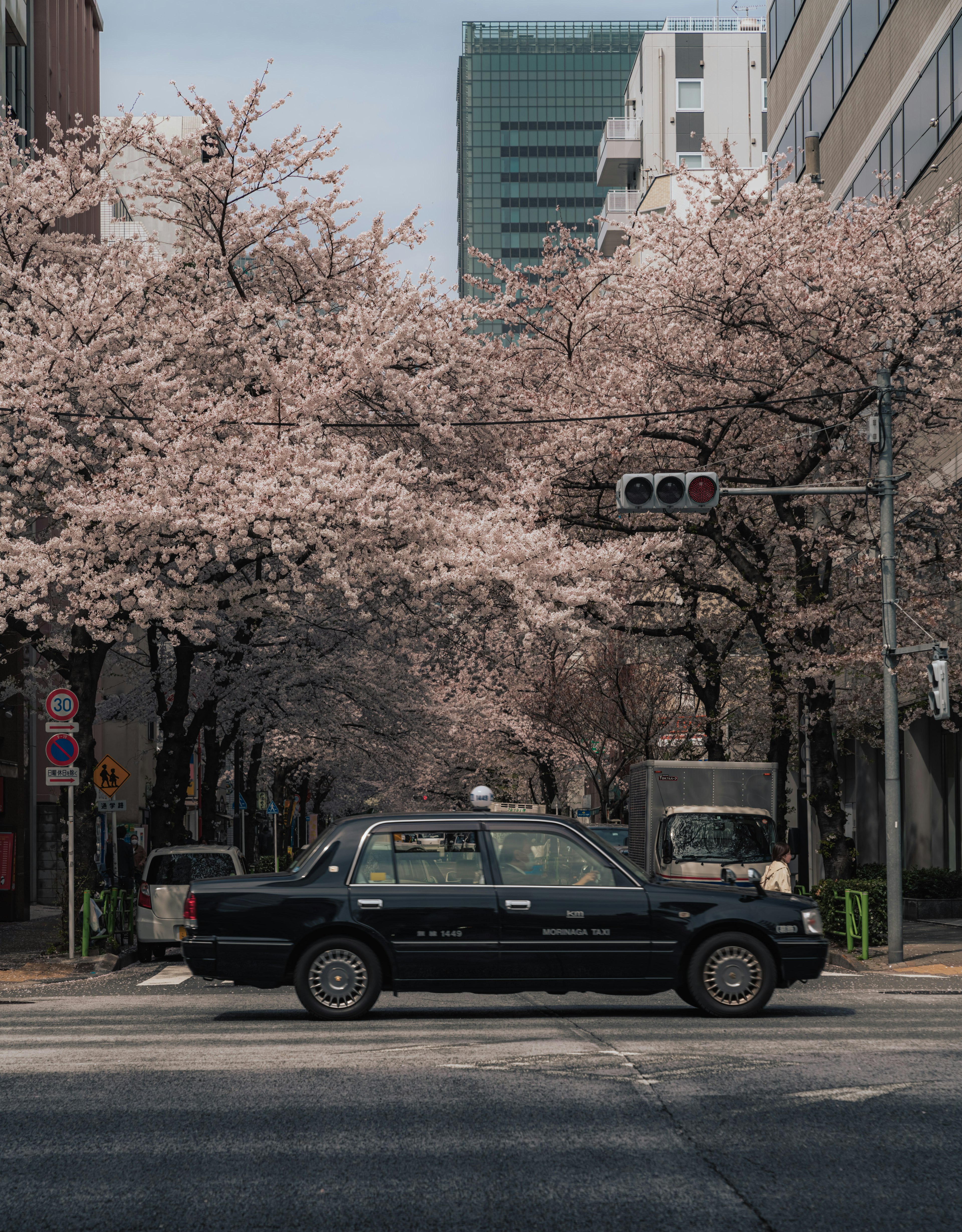 桜の木に囲まれた通りを走る黒いタクシー