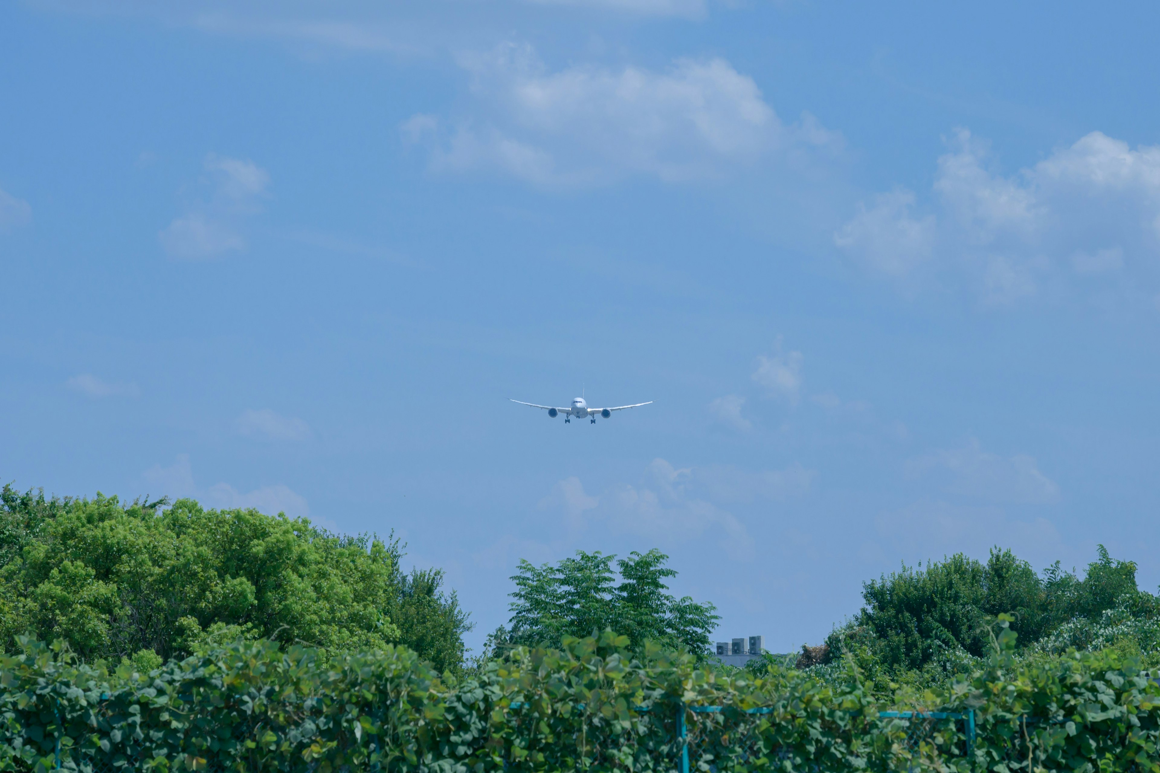 Un aereo in discesa sotto un cielo blu con alberi verdi rigogliosi sotto