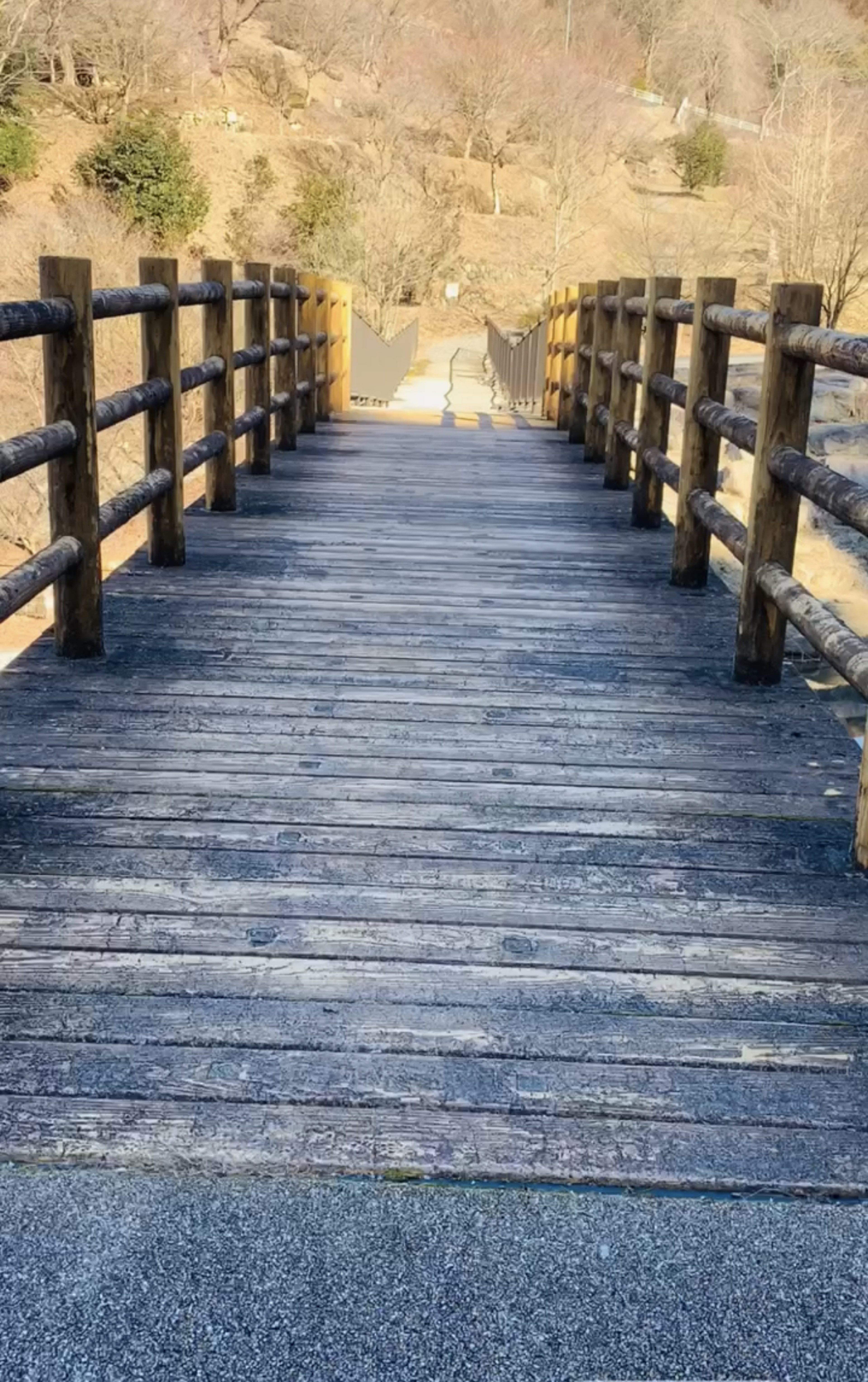 Photo of a wooden bridge leading into nature