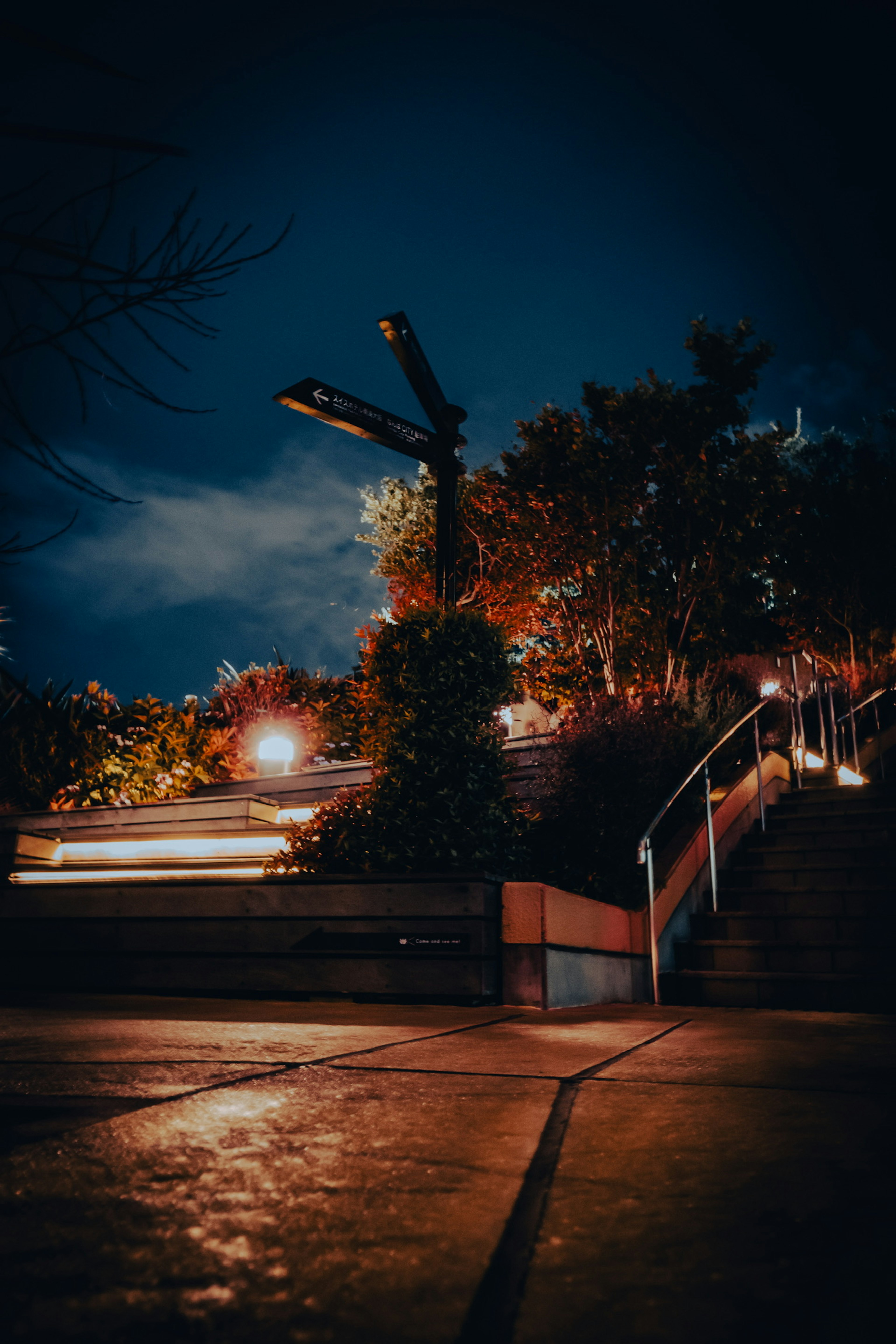 Escena nocturna de escaleras de parque y farolas